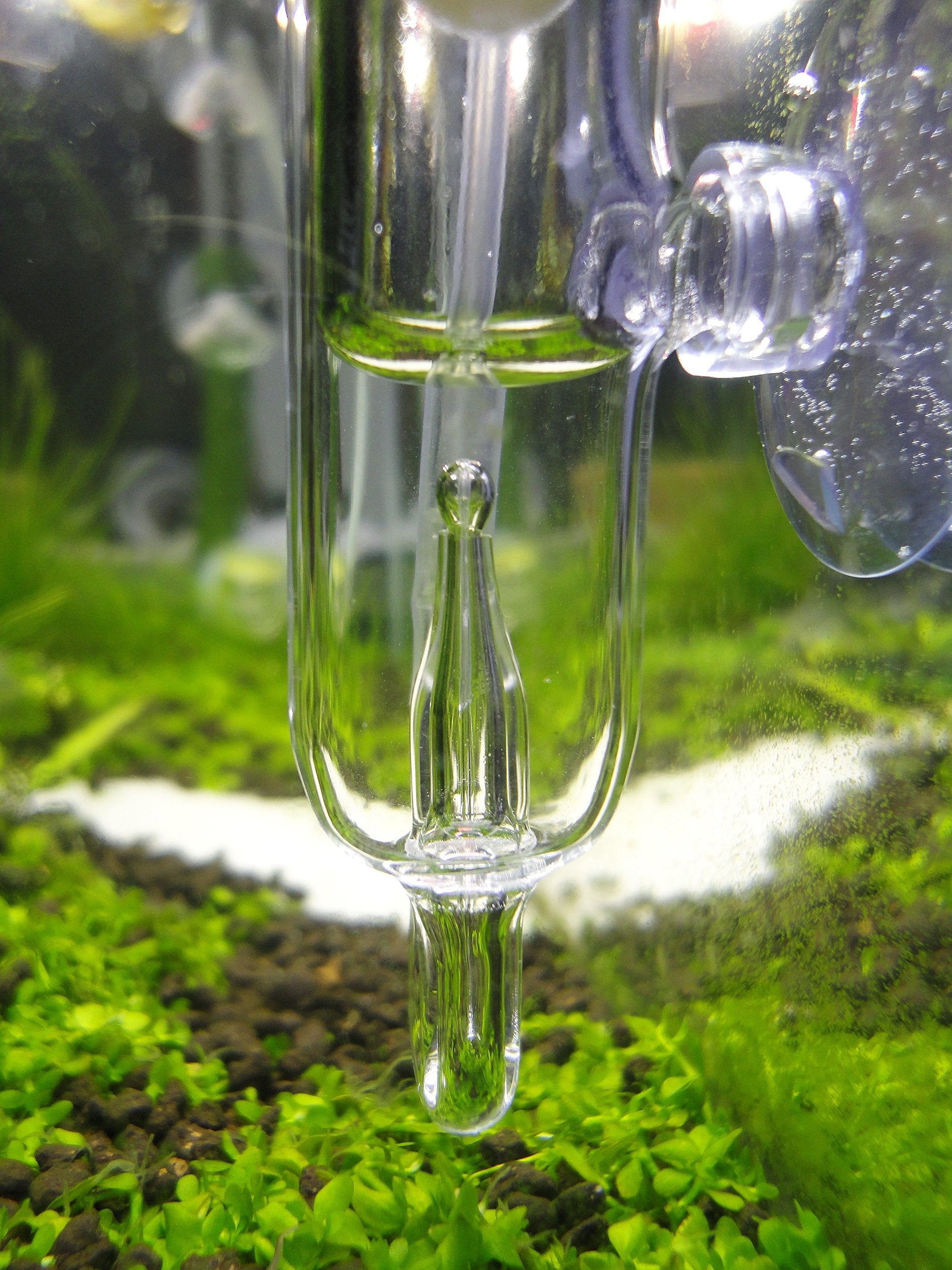 Pollen Glass Co2 Diffuser With Bubble Counter For Aquarium Planted Tank