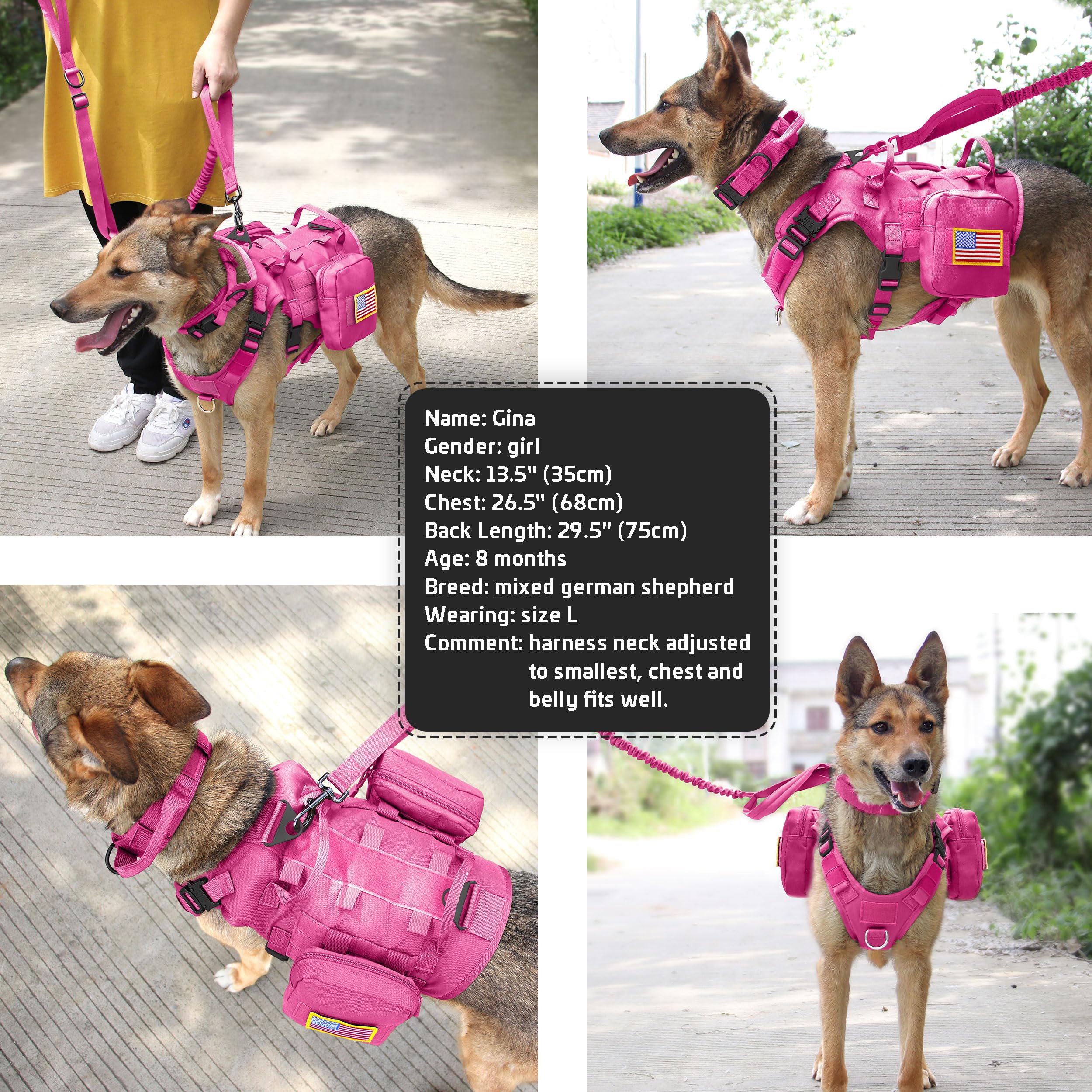 Forestpaw Pink Tactical Dog Harness For Large Dogs,Tactical Dog Collar With Bungee Leash Set,No Pull Military Dog Harness For Wa