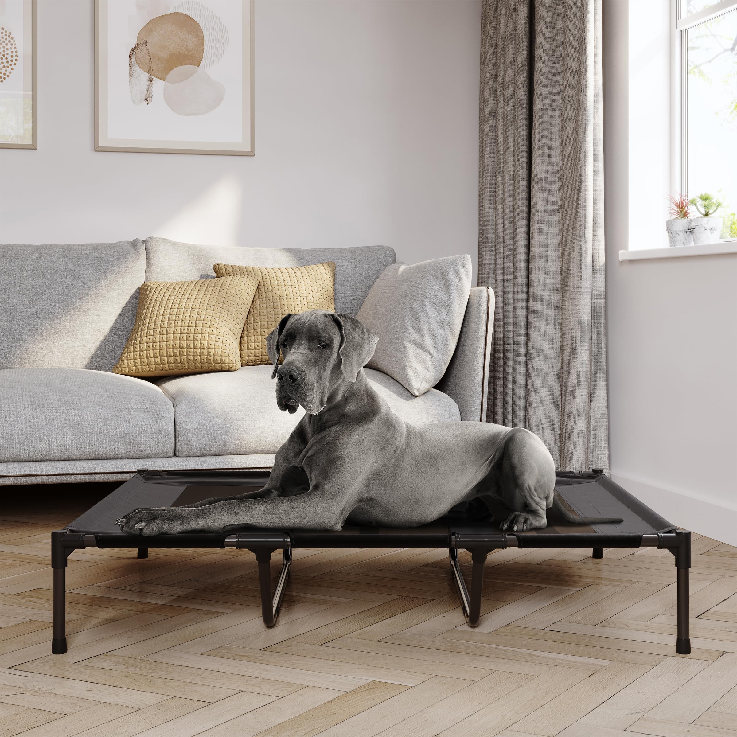Petmaker Elevated Dog Bed - 48X36-Inch Portable Pet Bed With Non-Slip Feet - Indoor/Outdoor Dog Cot Or Puppy Mattress For Pets U
