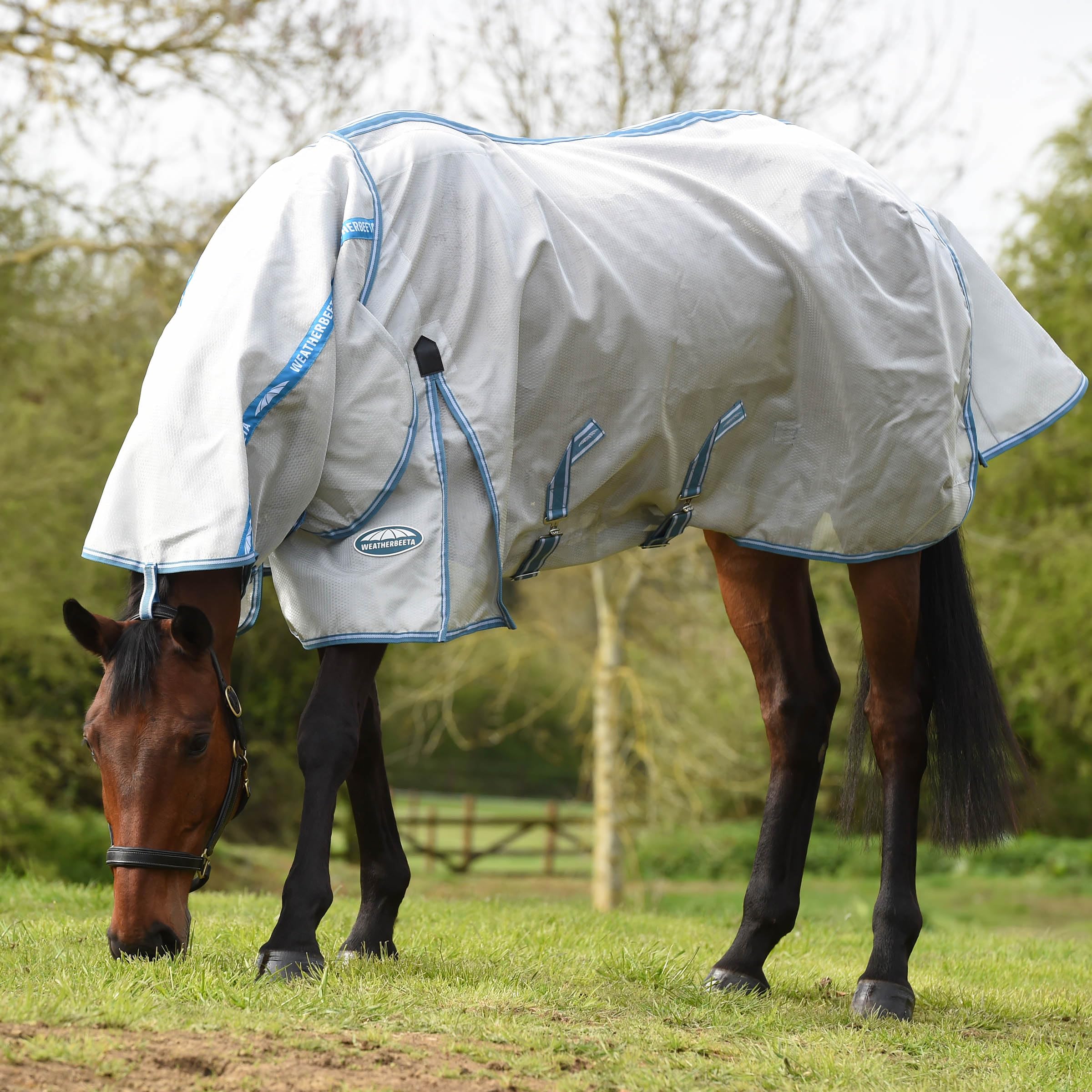 Weatherbeeta Comfitec Hexi Shield Combo Neck, Silver/Teal Blue, 81'