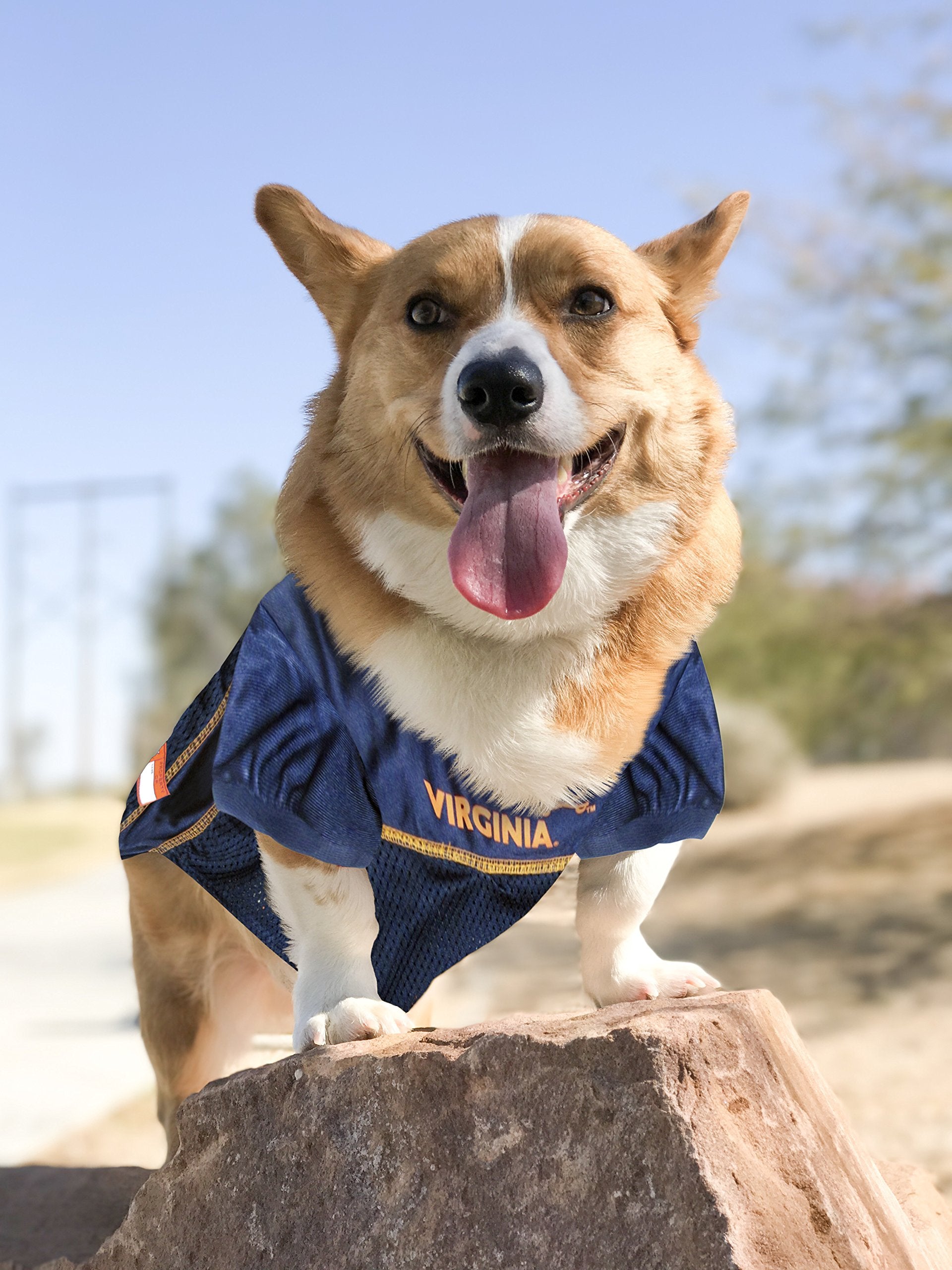 Pets First NCAA College University of Virginia Cavaliers Mesh Jersey for DOGS & CATS, Size Small, Licensed Dog Jersey with your