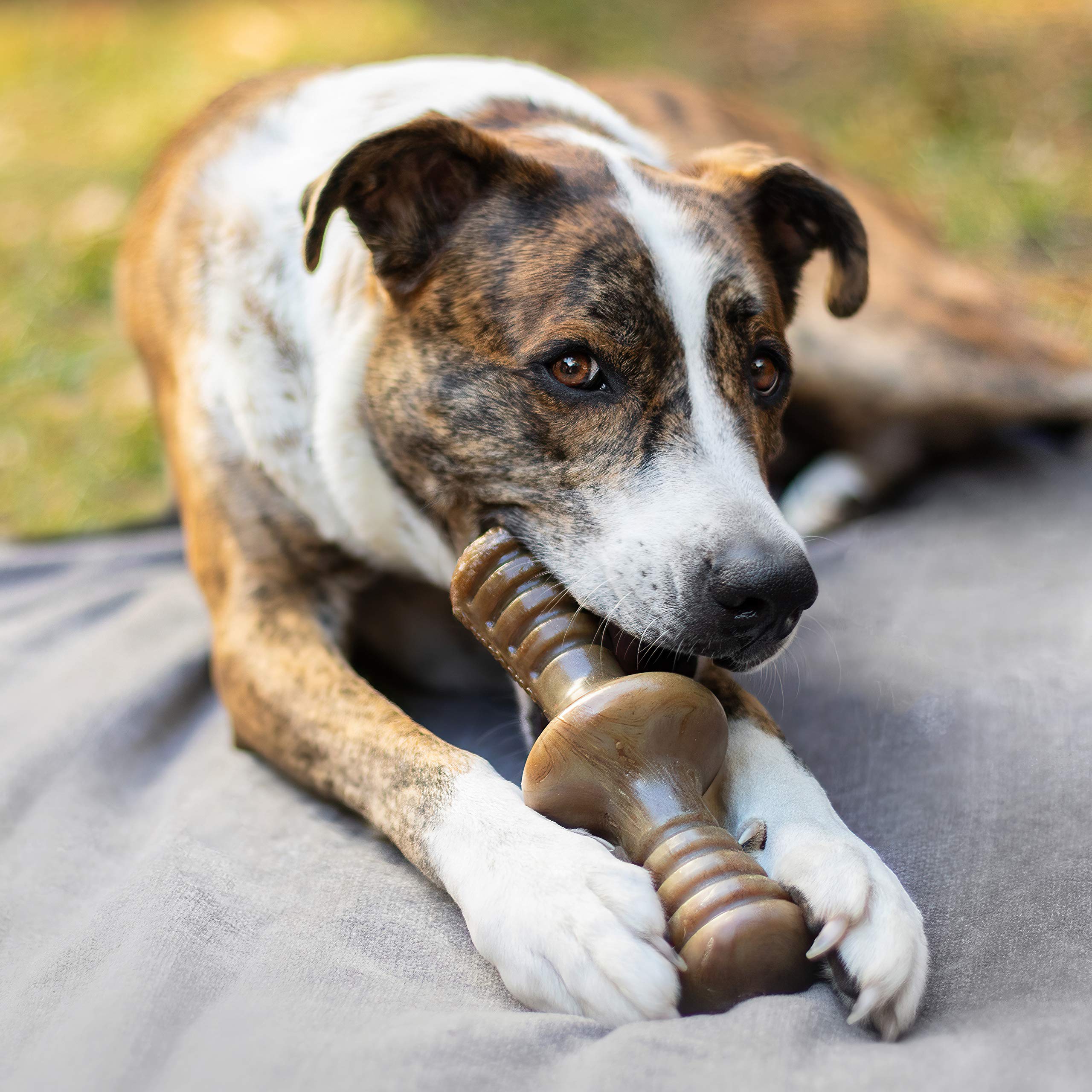 Benebone Zaggler Rolling Dog Chew Toy For Aggressive Chewers, Real Bacon, Made In Usa, Giant