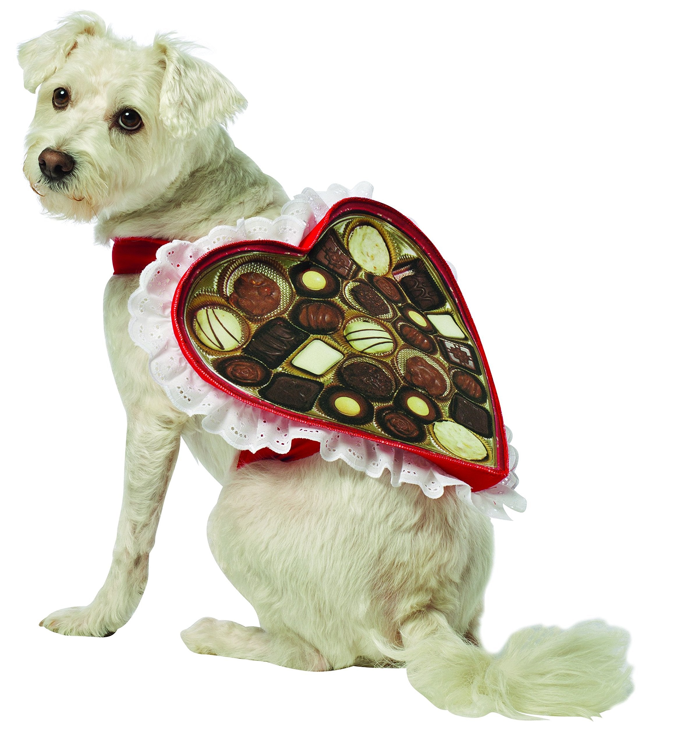 Rasta Imposta Chocolate Box Dog Costume, X-Small