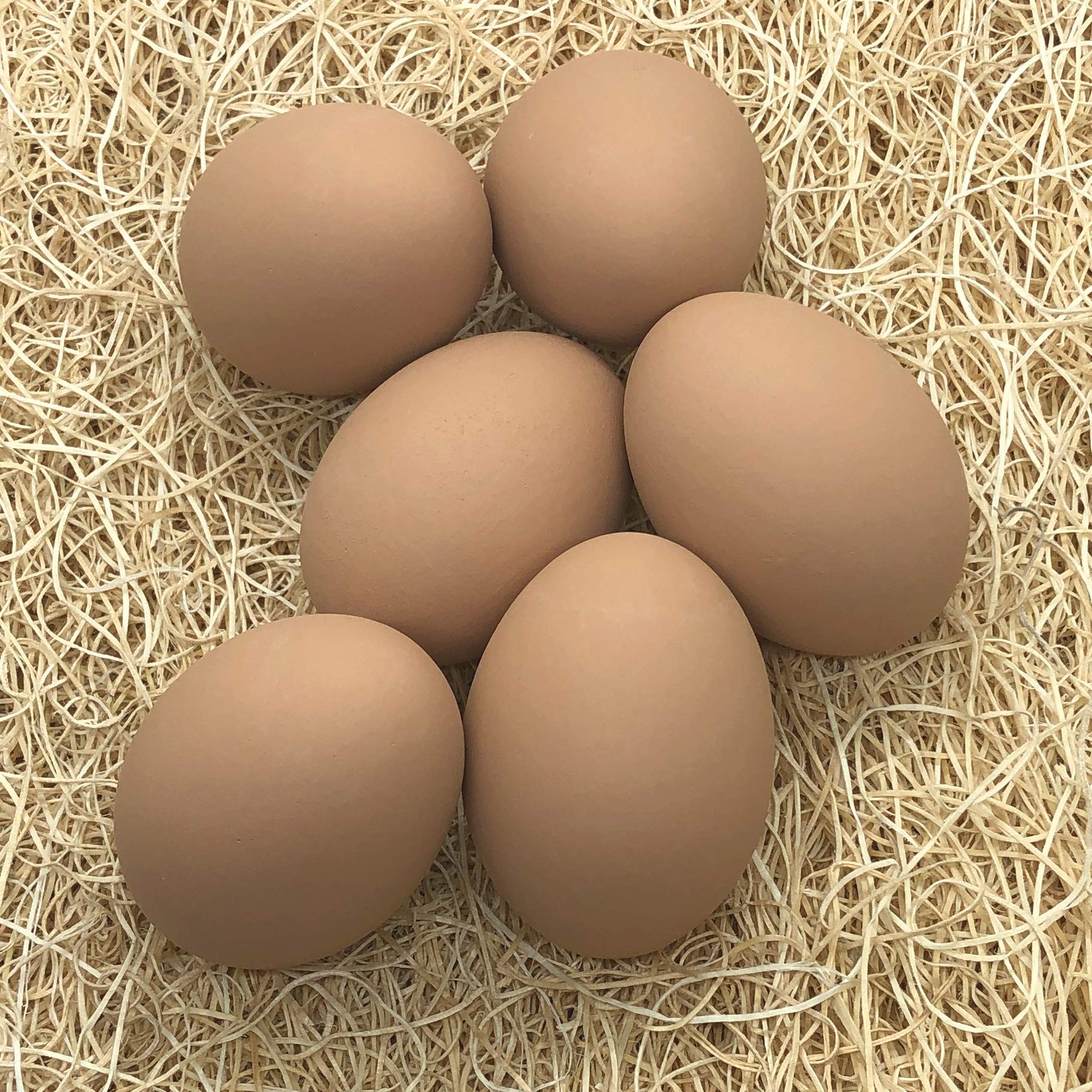 Cackle Hatchery Ceramic Nest Eggs (6Ct) (Assorted - Brown & White)