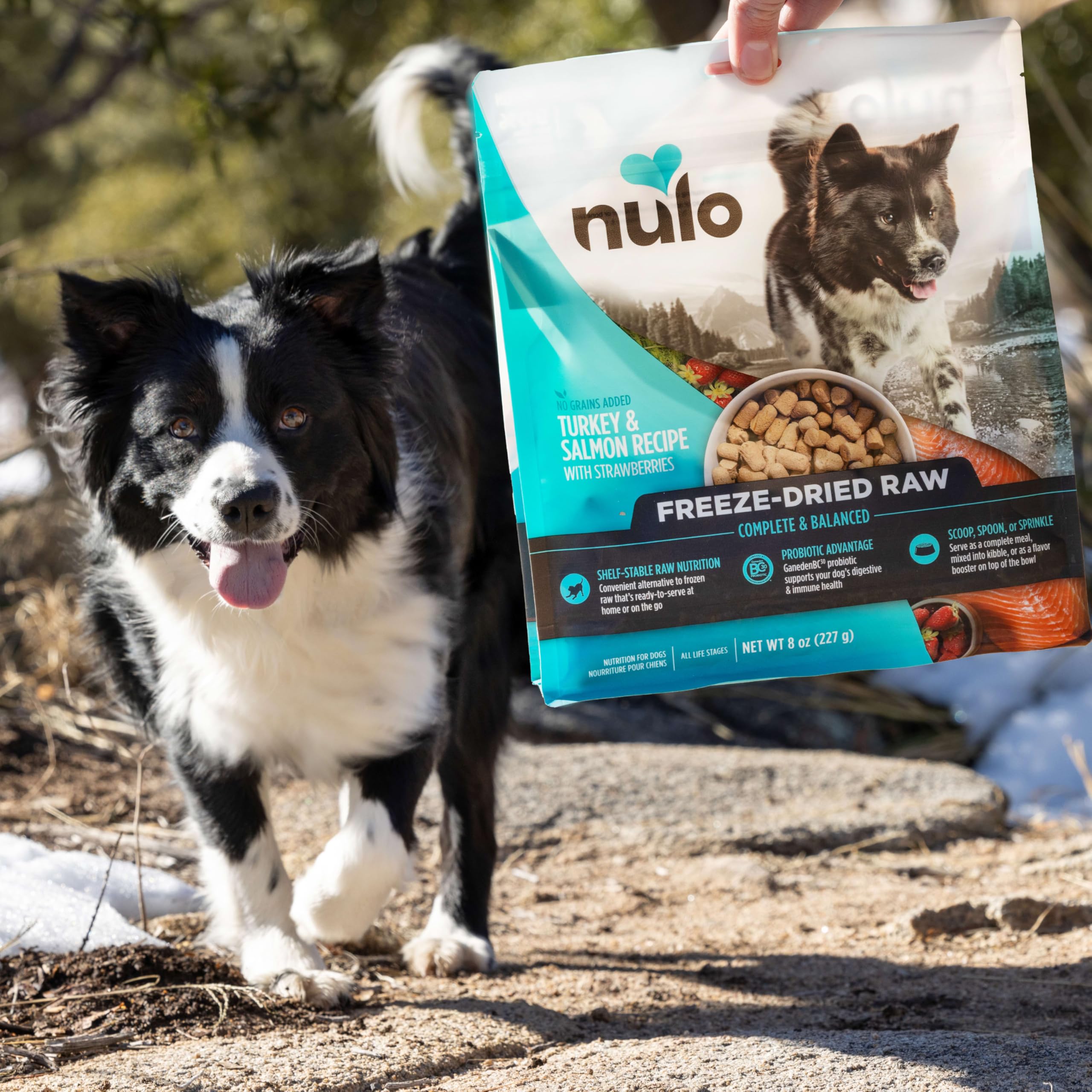 Nulo Freeze-Dried Raw Duck Recipe with Pears Complete and Balanced Dry Dog Food Kibble, 8 Ounce Bag