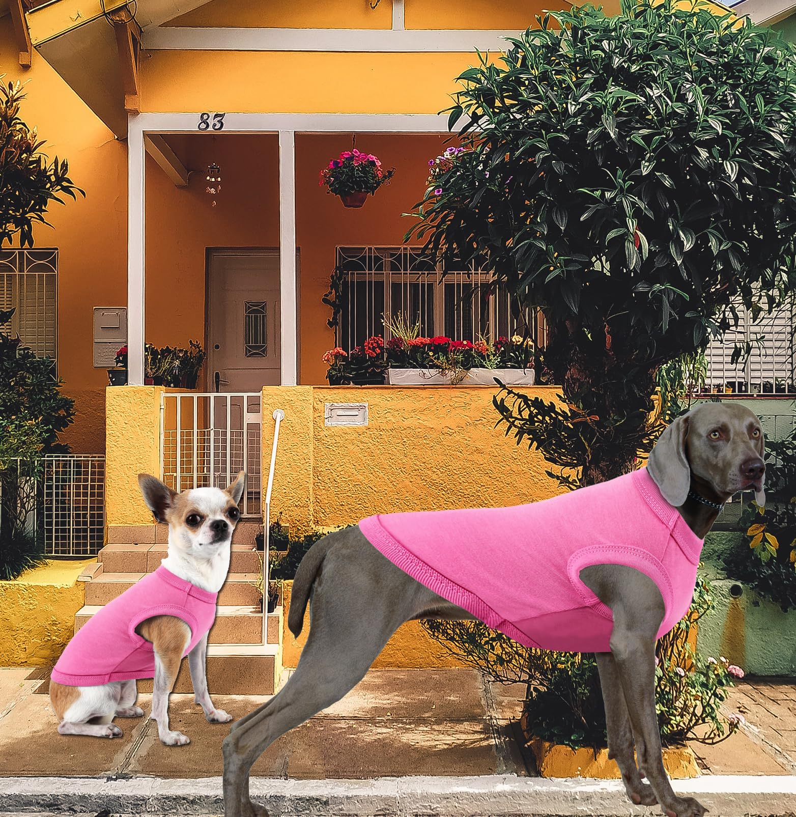 Sychien Dog Pink Shirt For Medium Dogs,Blank Plain Pink Cotton Shirts For Frenchu Bulldog,M Pink Rose