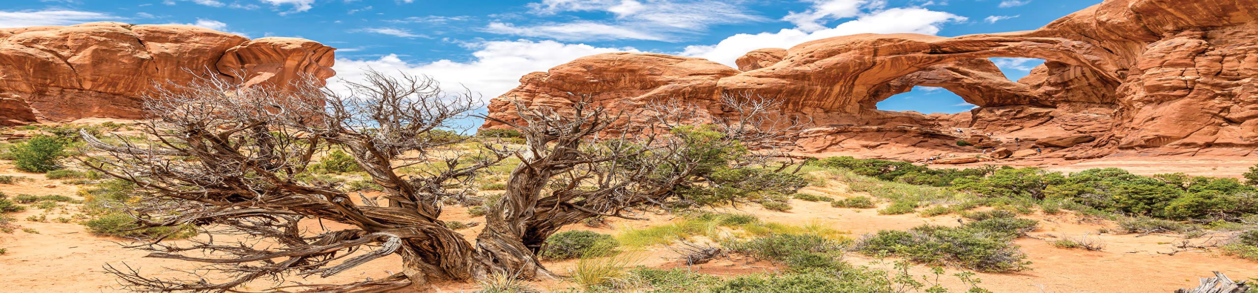 Reptile Habitat Background; Double Arch With Tree, For 48Lx24Wx24H Terrarium, 3-Sided Wraparound