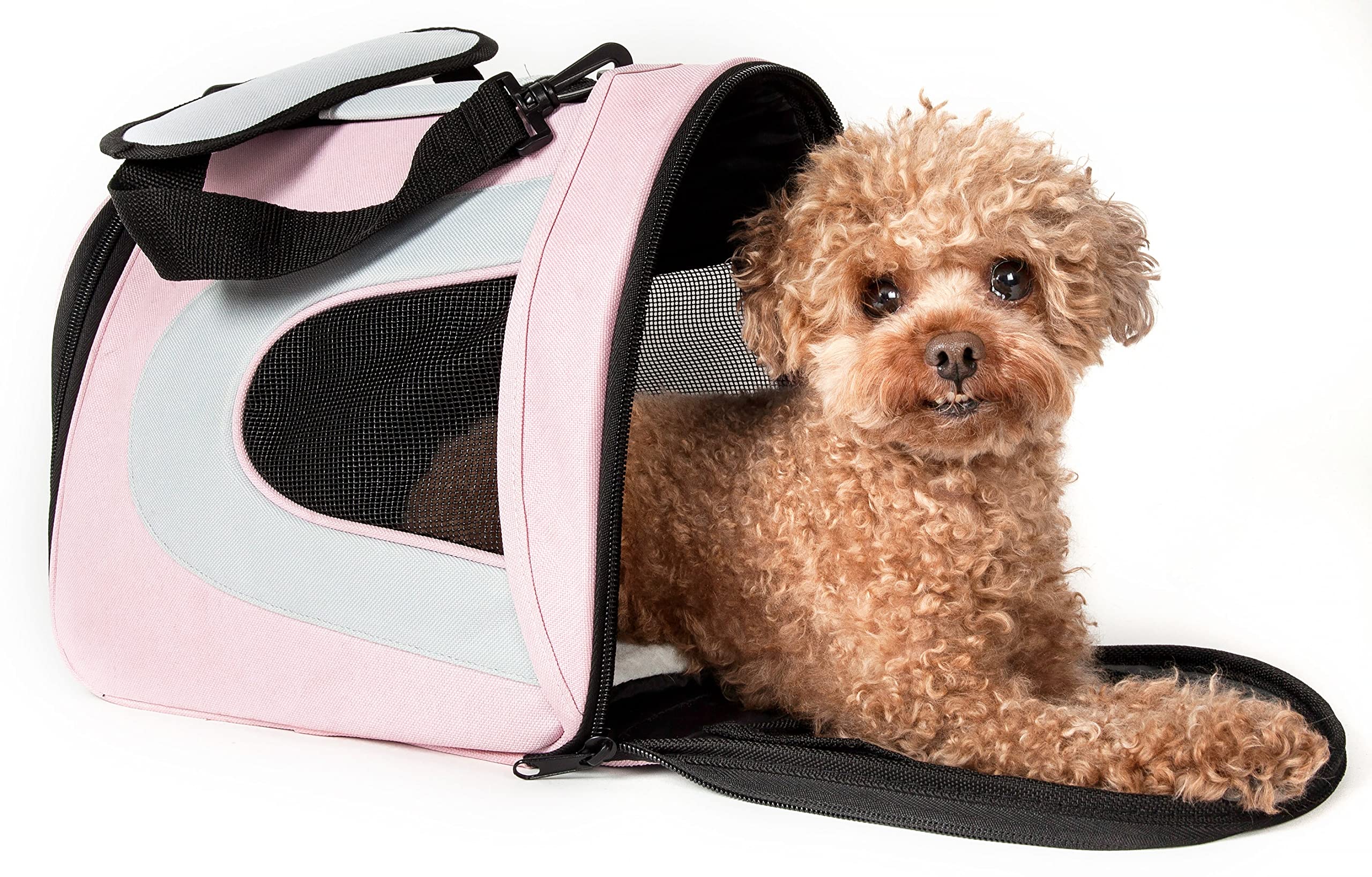 Pet Life Airline Approved Collapsible Zippered Folding Sporty Mesh Travel Fashion Pet Dog Carrier Crate