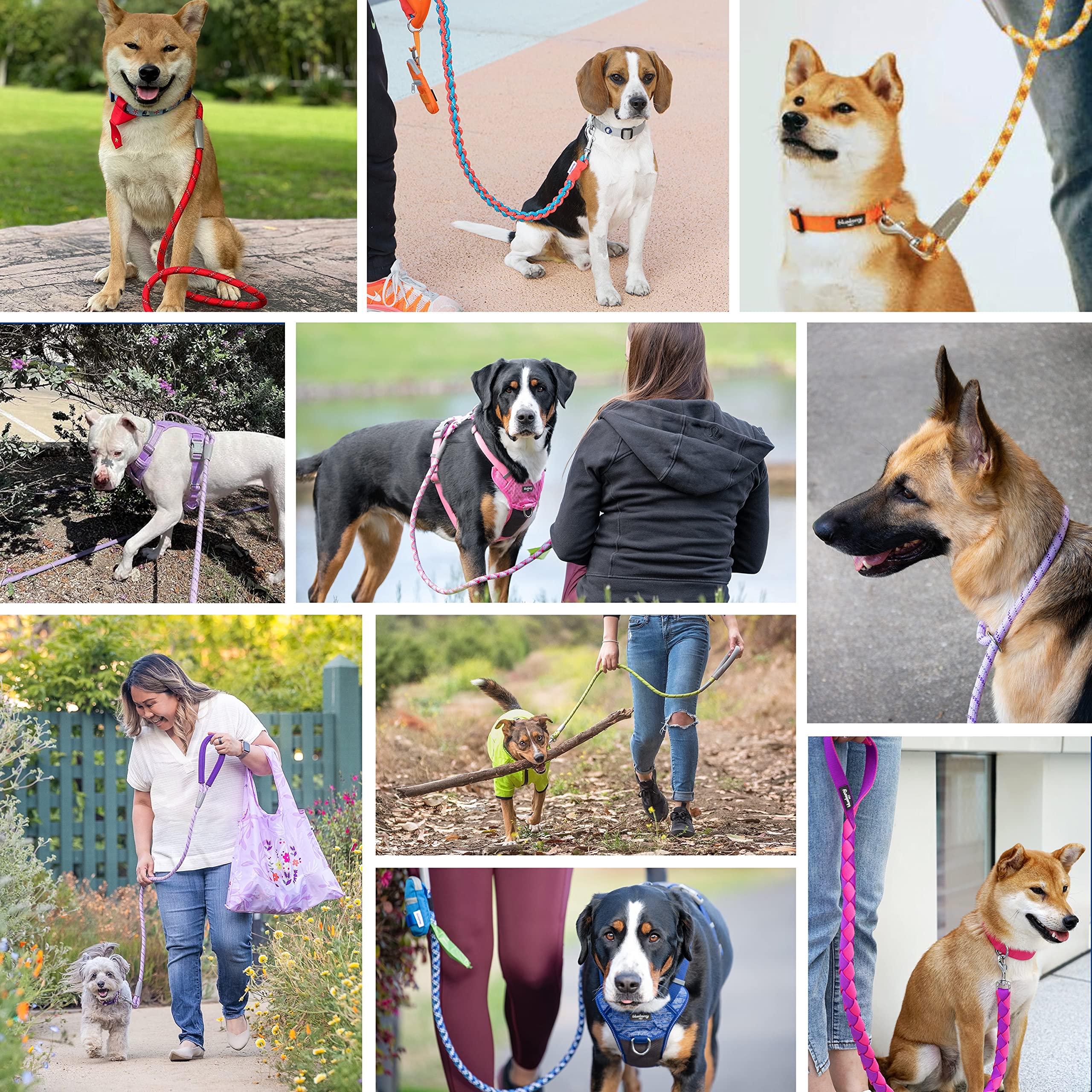 Blueberry Pet Essentials Dog Leash, Puppy Essentials, Strong Rope Dog Leashes For Large Dogs Heavy Duty, 4Ft, Comfortable Neopre
