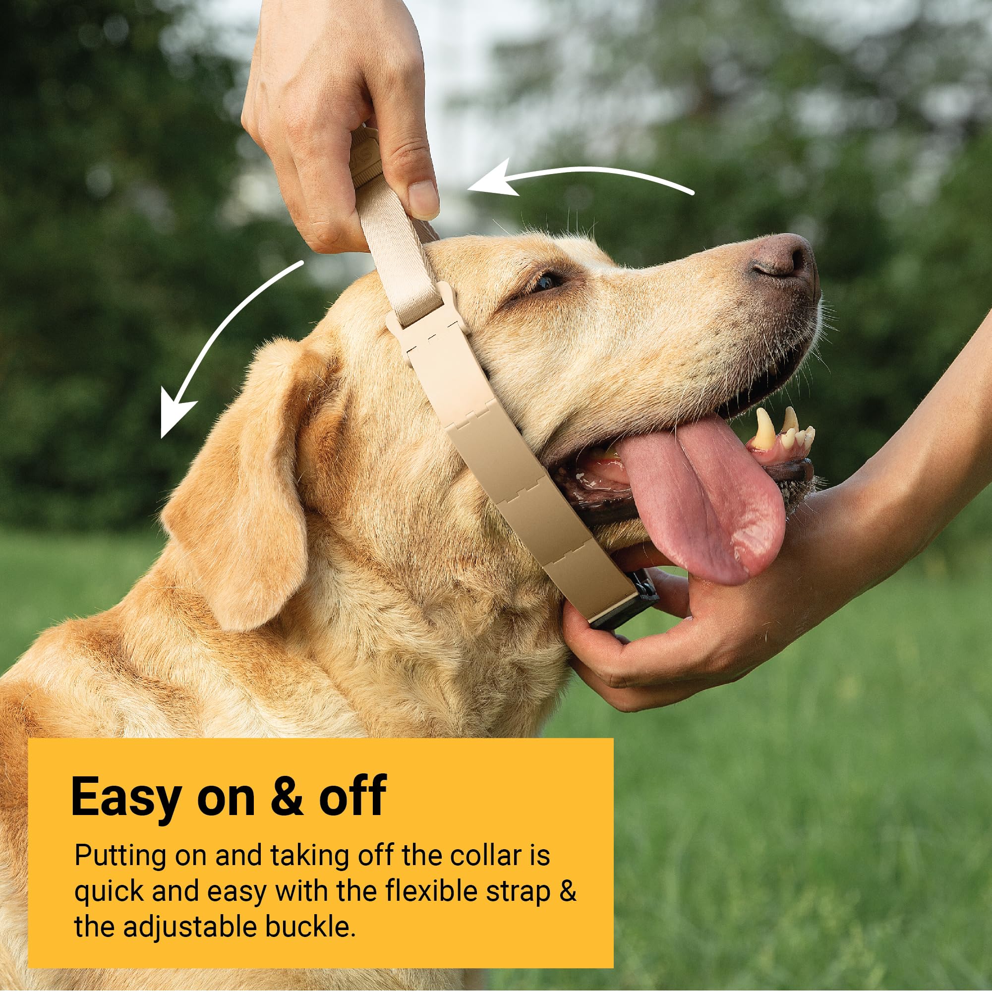 Svd.Pet Dog Prong Collar For No-Pull Training, Quick-Release Buckle Adjustable Pinch Collar For Medium Dogs (Tan, Medium Size)