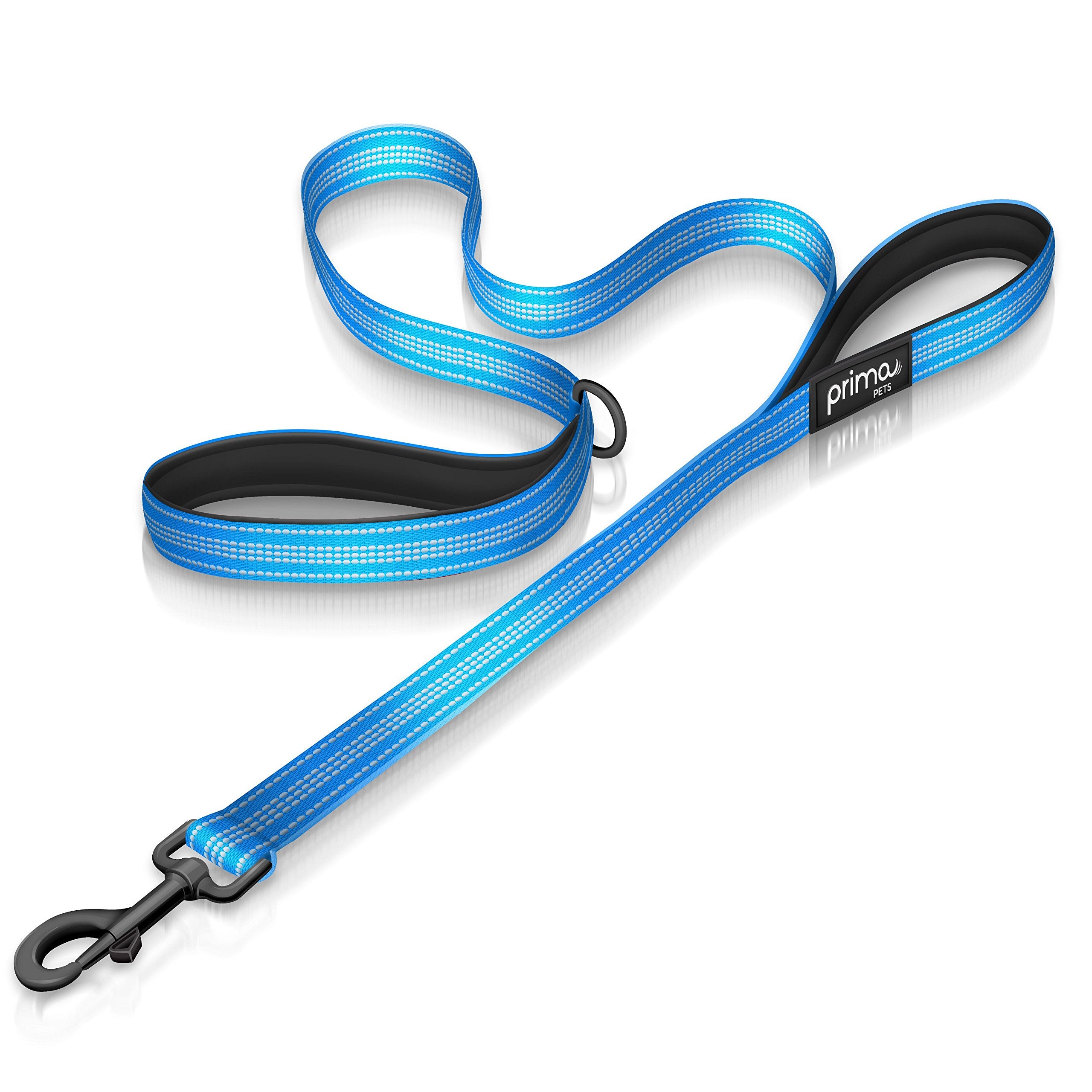 Prima Pets Reflective 4 Feet Nylon Dog Leash with Padded Double Handles, 1 Width, Aqua