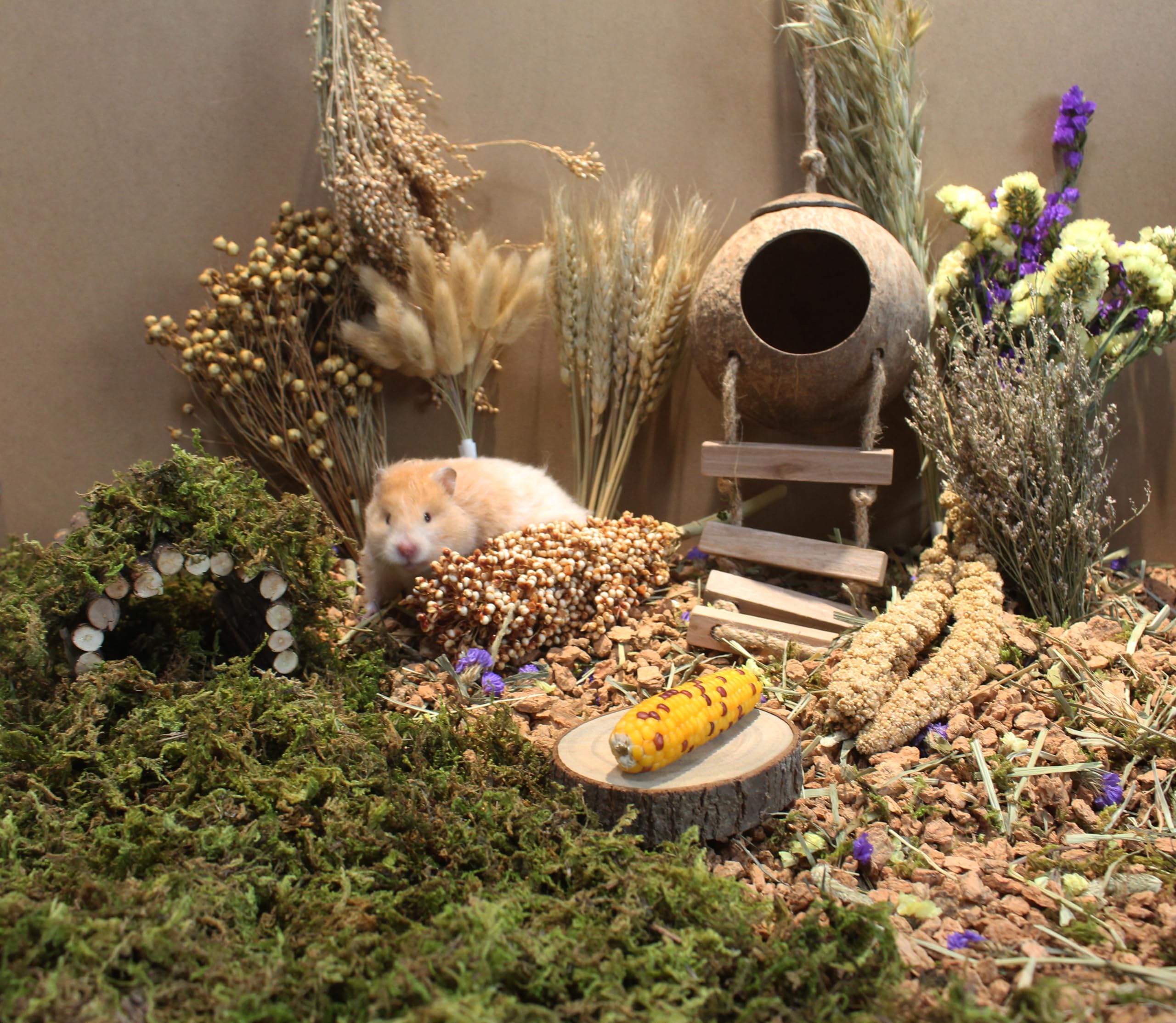 Jfwod Natural Hamster Bedding - Flowers, Herbs, Sprays, Treat Cereal Grain For Cage Habitat Enclosure Decor - Hamster Chews For