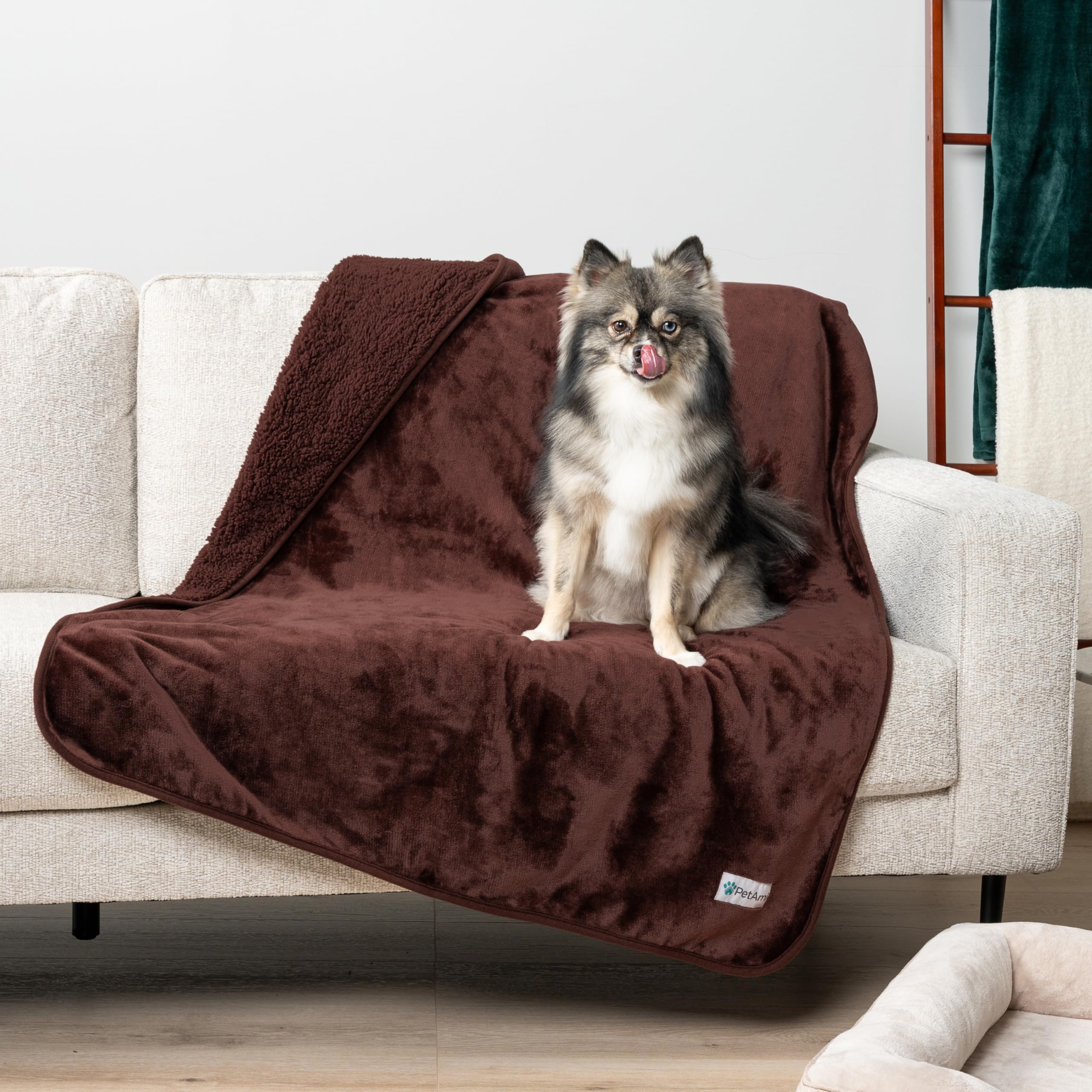 Petami Waterproof Dog Blanket For Medium Large Dogs, Pee Proof Pet Blanket For Bed Couch, Reversible Water Proof Blanket For Puppy Indoor Cat, Soft Dog Pee Crate Cover Washable, 60X80 Brown