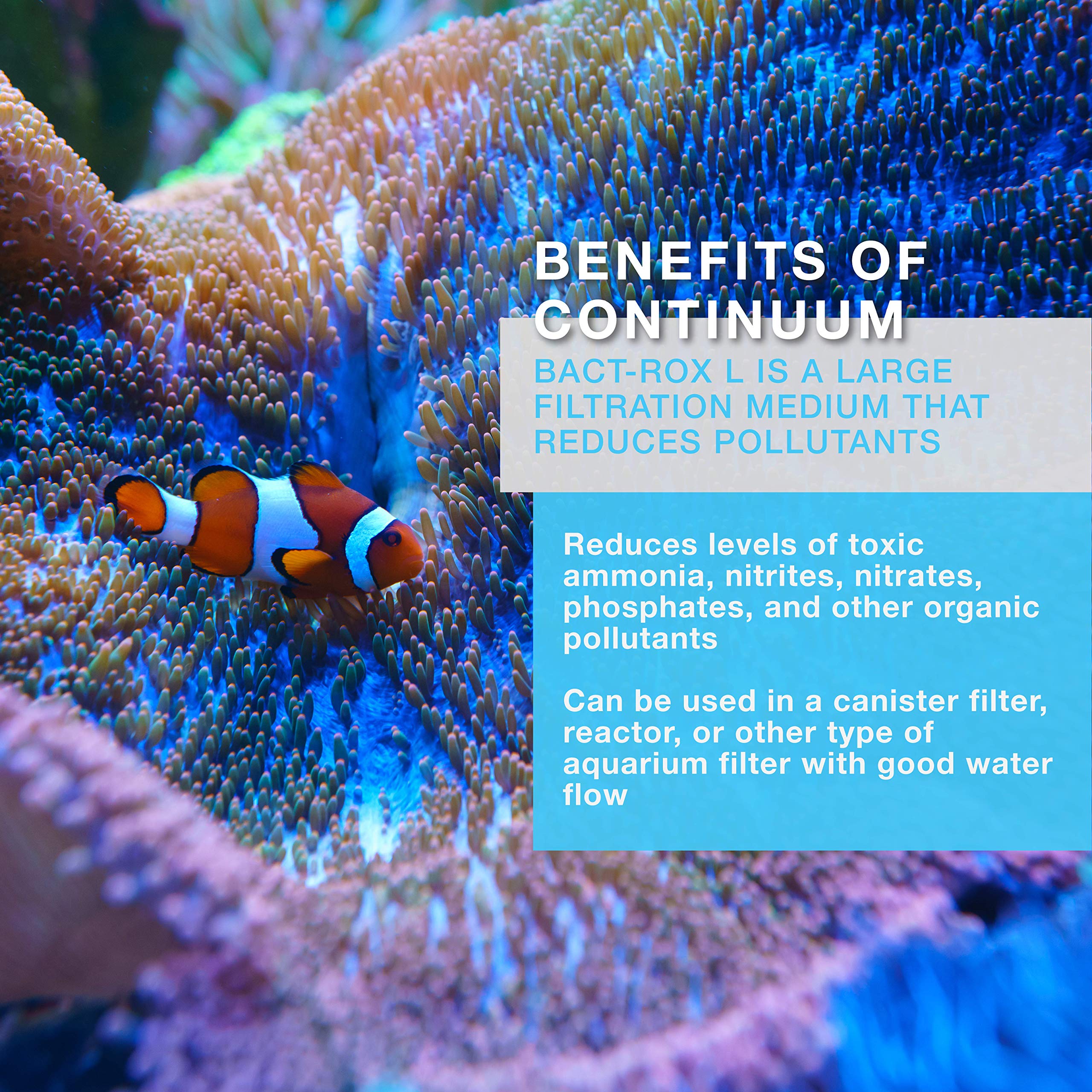 Continuum Aquatics Bact Rox L – Large 4L Porous Biological Filter Media for Reefs, Marine & Freshwater Aquariums and Ponds