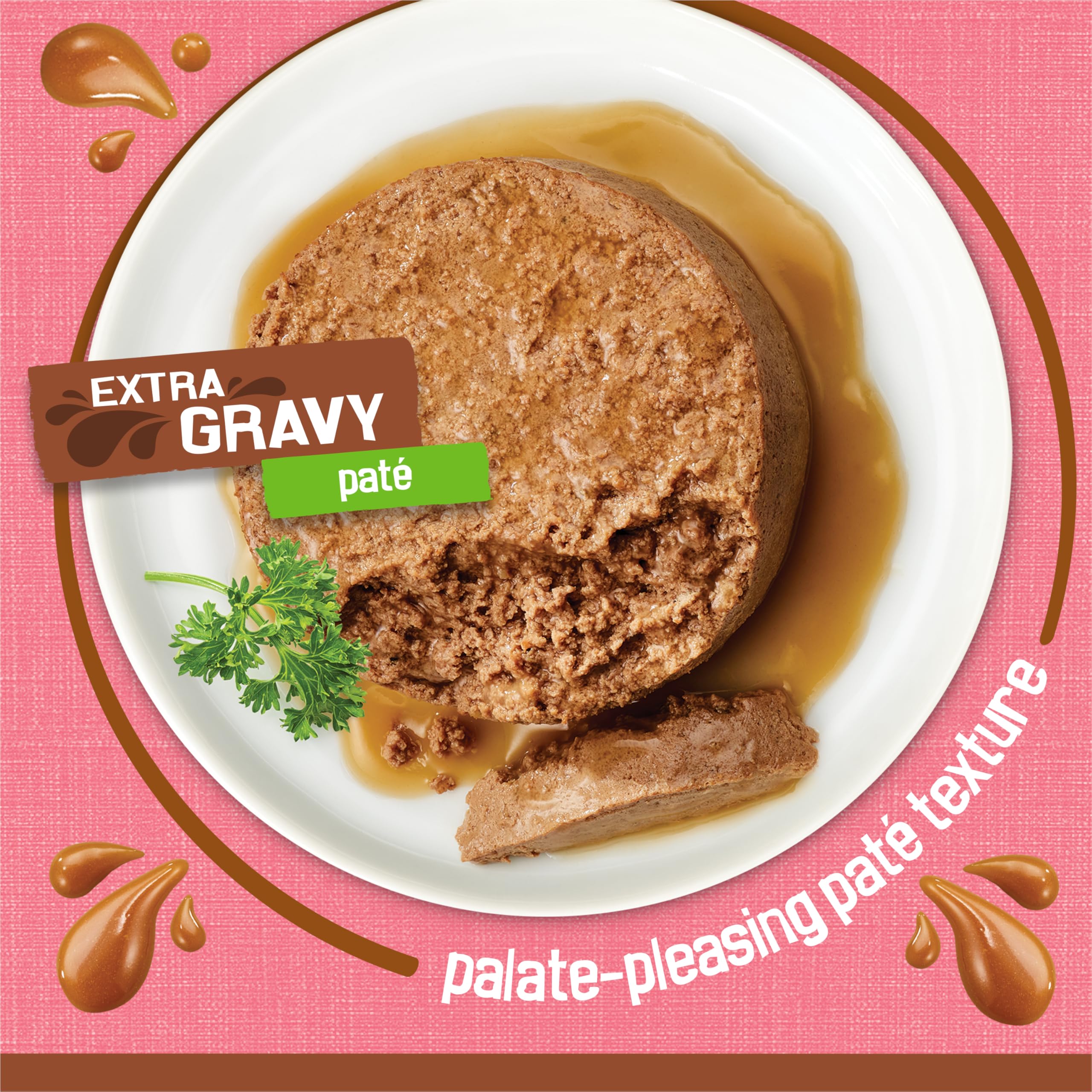 Purina Friskies Wet Cat Food Extra Gravy Pate With Salmon in Savory Gravy - (Pack of 24) 5.5 oz. Cans