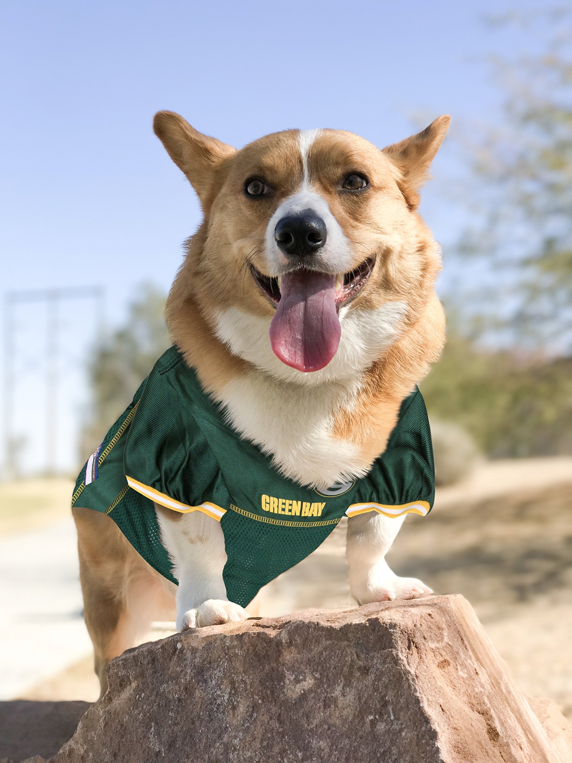 Green Bay Packers Mesh Pet Jersey