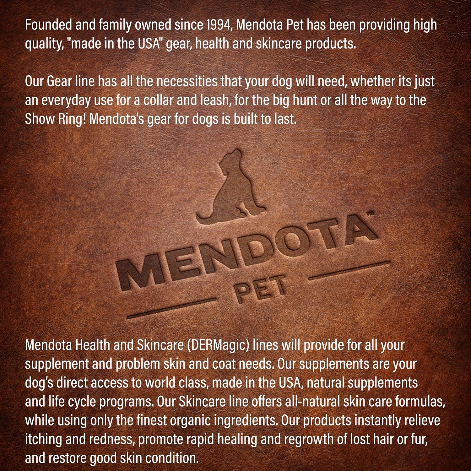 Mendota Pet Slip Leash - Dog Lead And Collar Combo - Made In The Usa - Sapphire, 3/8 In X 4 Ft - For Small/Medium Breeds