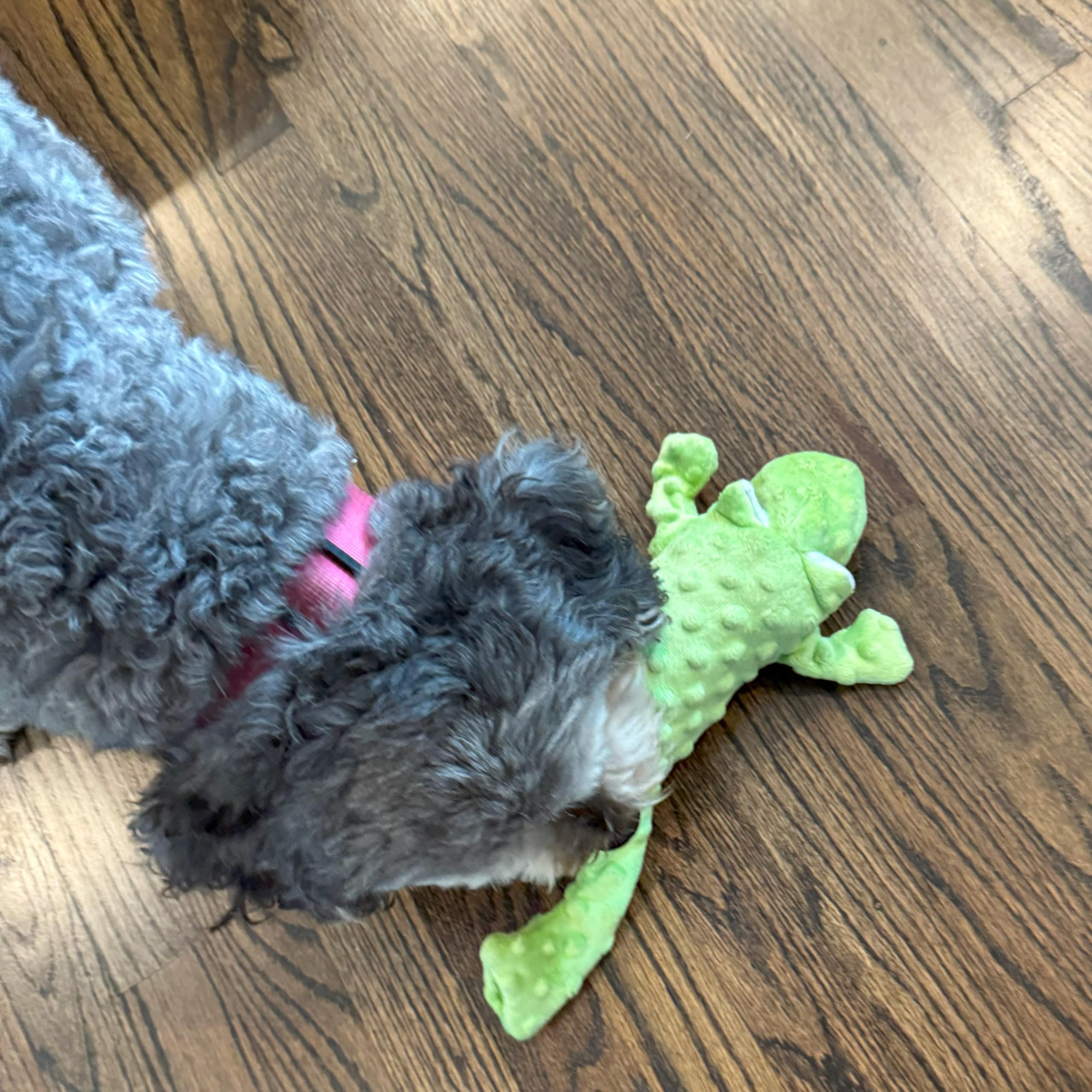 Skinneeez Extreme Stuffer Frog