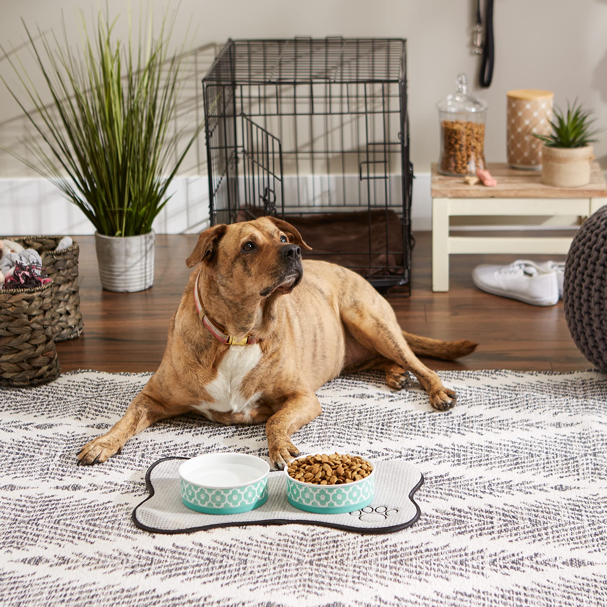 Bone Dry Lattice Collection Pet Bowl & Canister, Medium Set, 6x2, Aqua, 2 Count