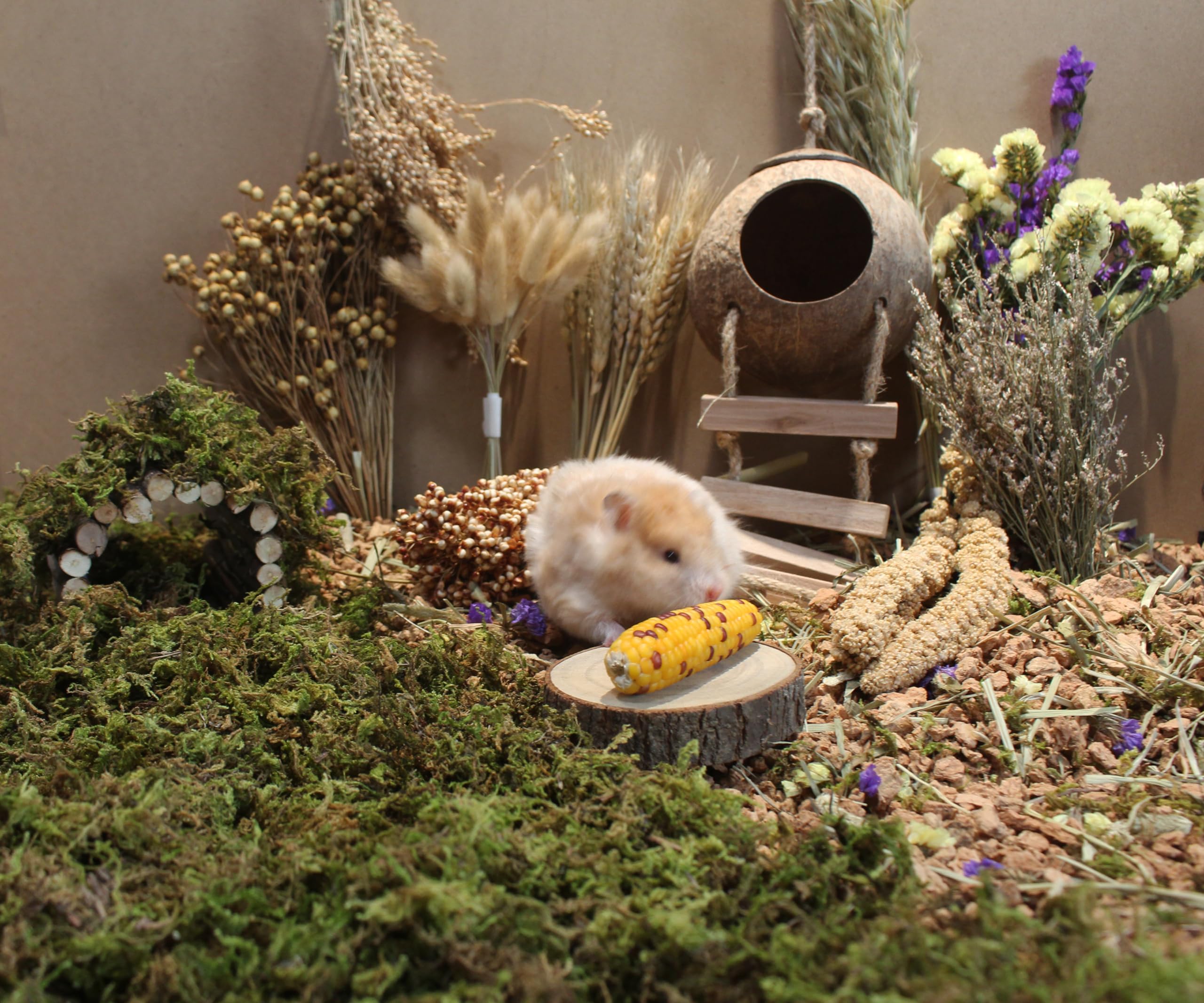 Jfwod Natural Hamster Bedding - Flowers, Herbs, Sprays, Treat Cereal Grain For Cage Habitat Enclosure Decor - Hamster Chews For