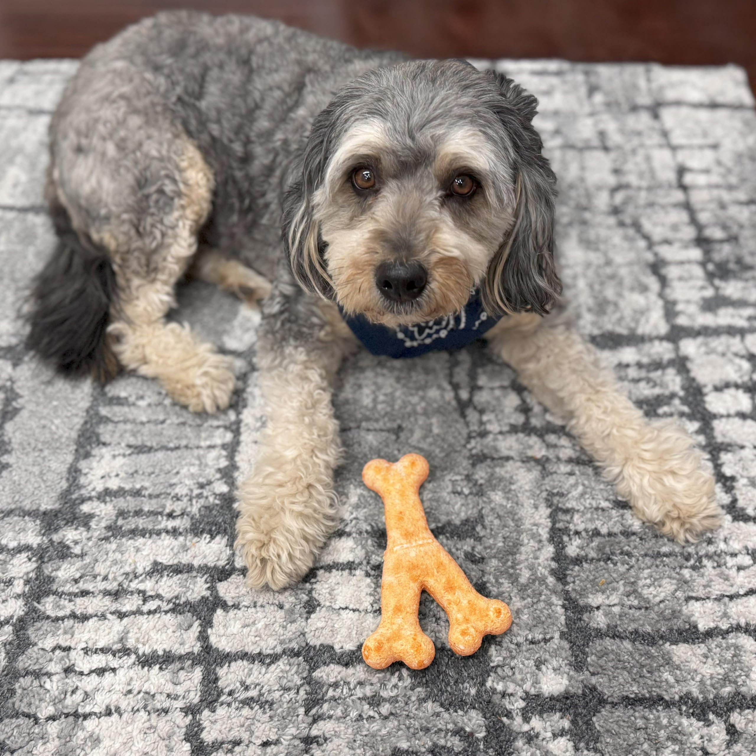 Fieldcrest Farms Nothin to Hide Collagen-Based Dog Chews, Wishbone, Beef Flavor, Ultra-Premium, for Dogs Over 50lbs, Easily Dig