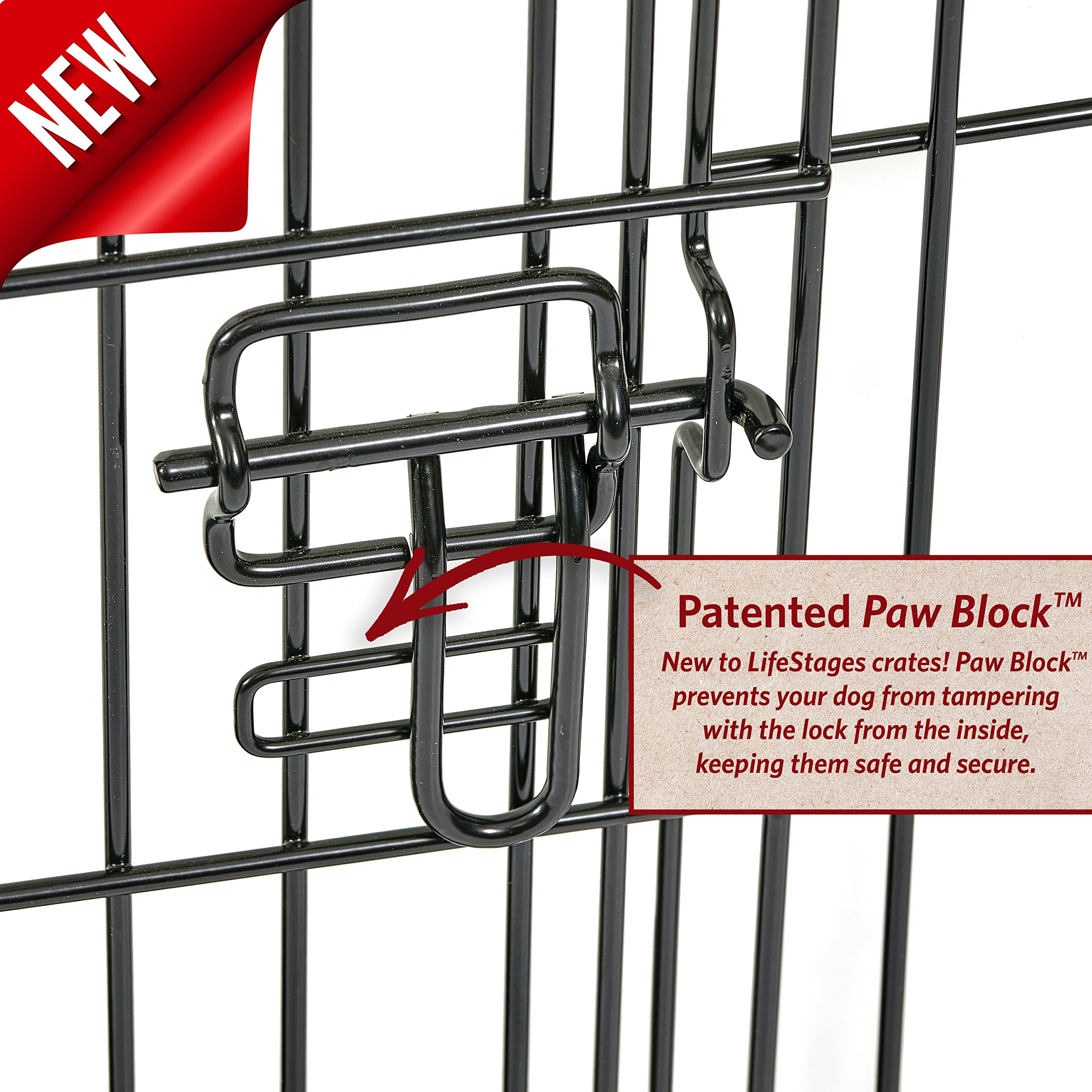 Medium Dog Crate | Midwest Life Stages 30' Double Door Folding Metal Dog Breed Crate | Divider Panel, Floor Protecting Feet & Dog Pan | 30.6L X 19.3W X 21.4H Inches