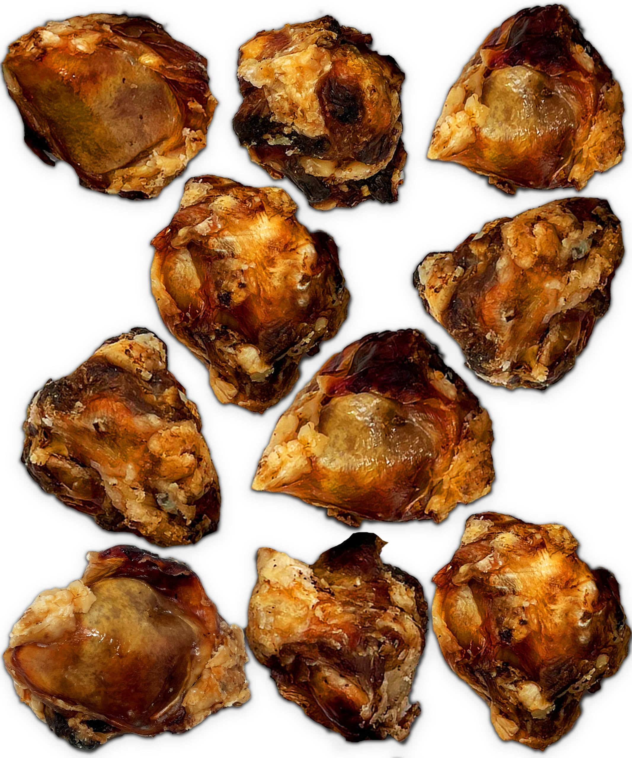 Lively Tails Dog Bones for Aggressive Chewers, Knee Caps for Dogs, Beef Bones for Large Dogs, Medium, and Small, Long Lasting Kn