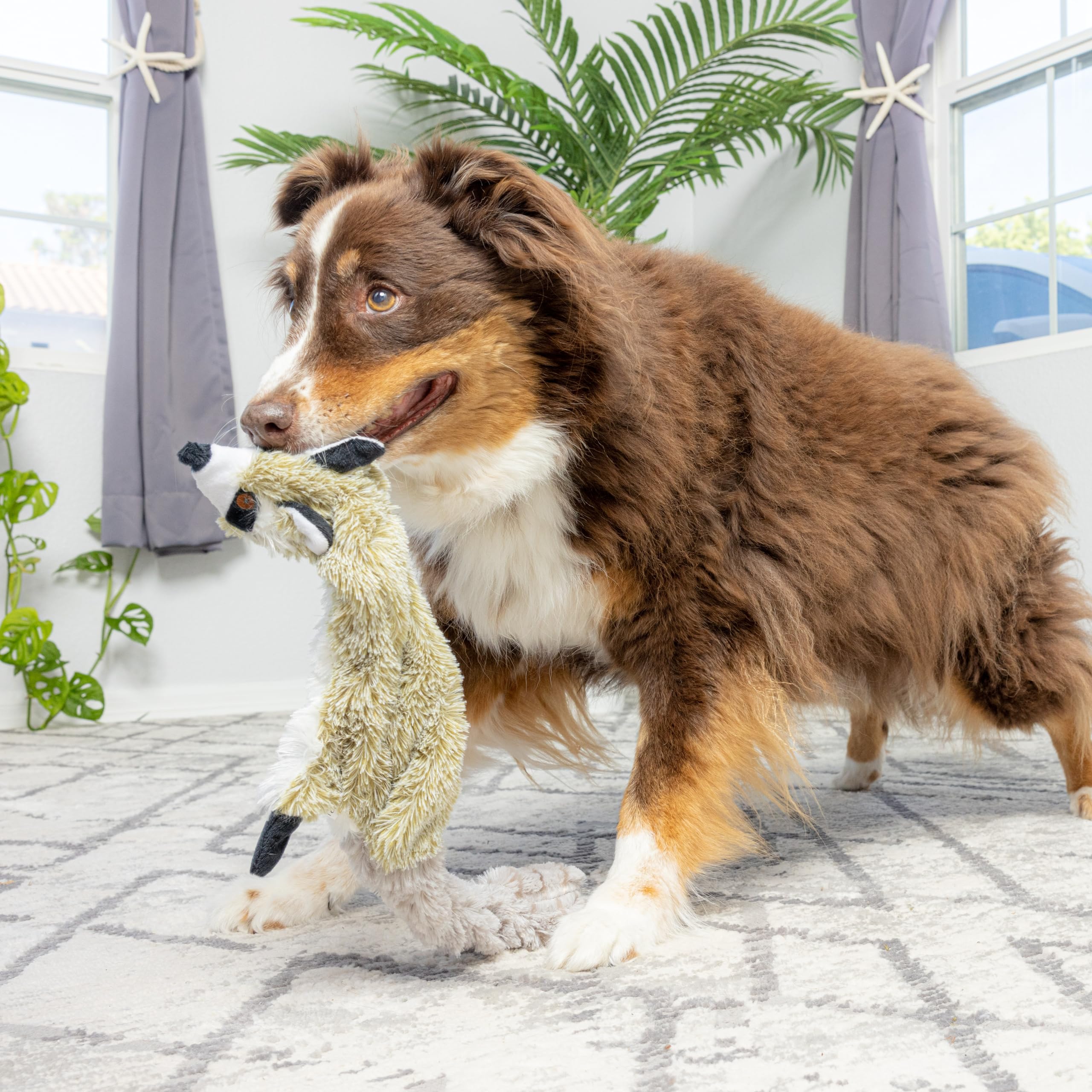 Lg Skineeez Raccoon Toy