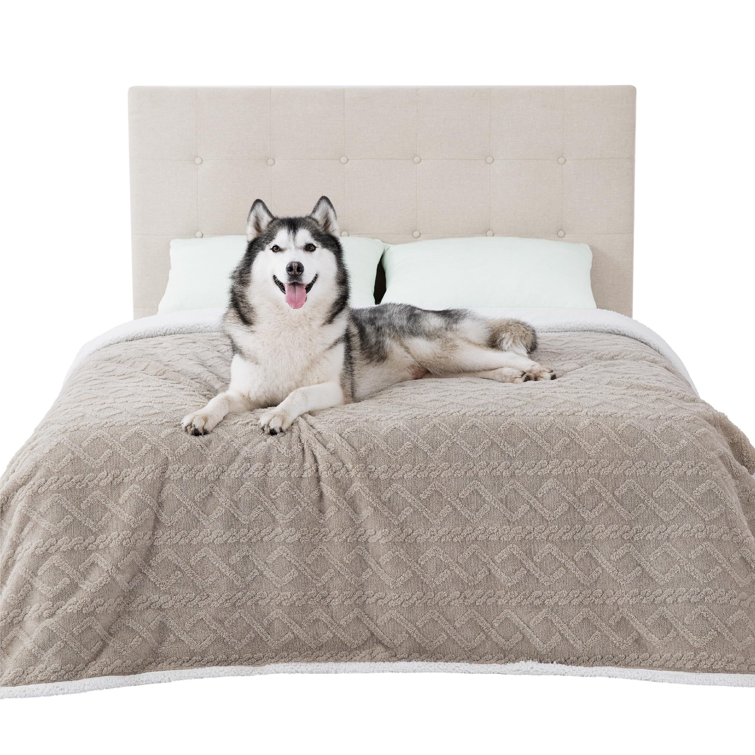 Bedsure Waterproof Dog Blankets For Bed - Pet Blanket For Bed Couch Protector Washable, Jacquard Coral Fleece Cat Throw Blanket,