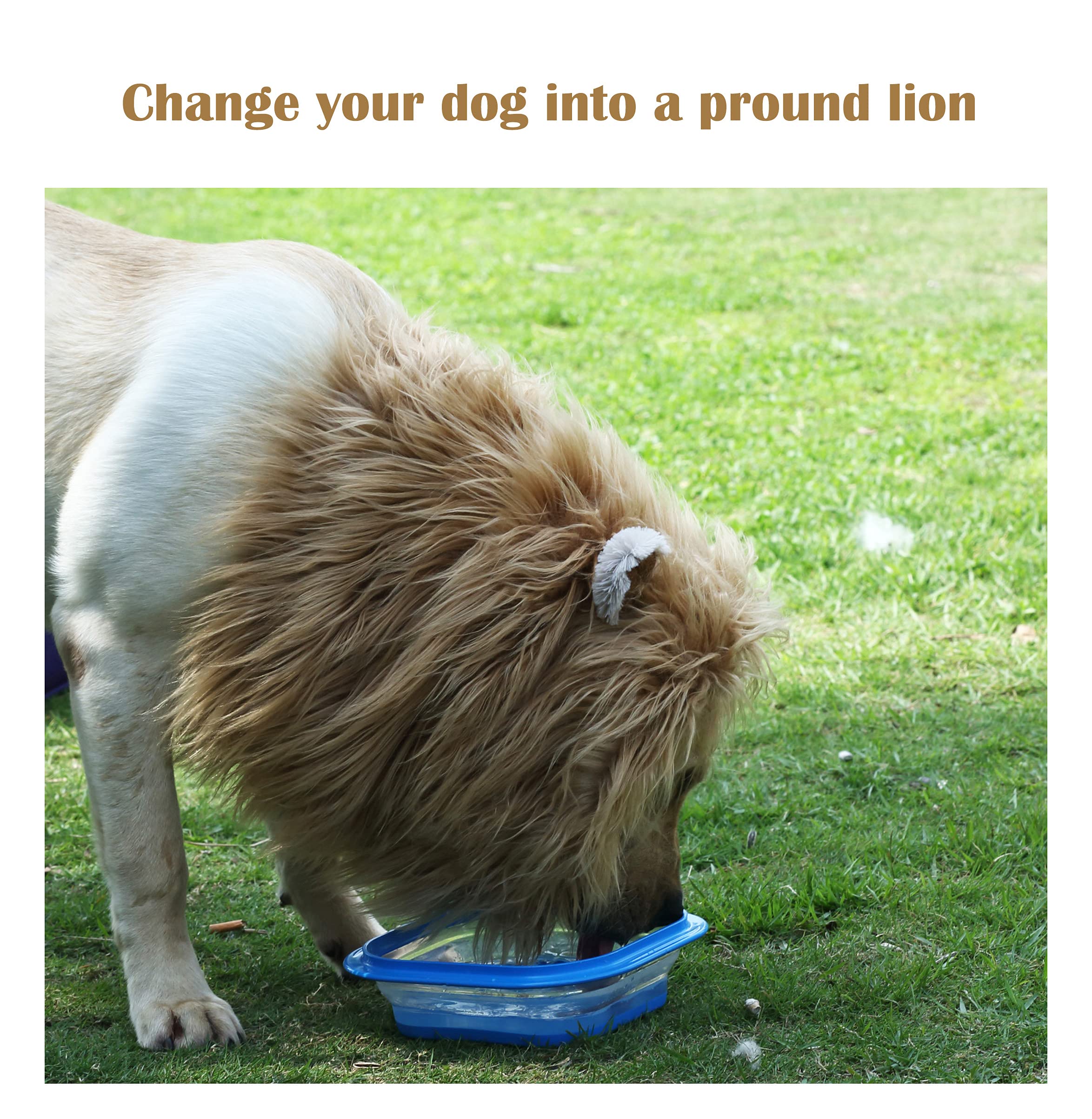 Onmygogo Lion Mane Wig For Dogs With Ears, Funny Pet Costumes For Halloween Christmas (Size L, Yellow)