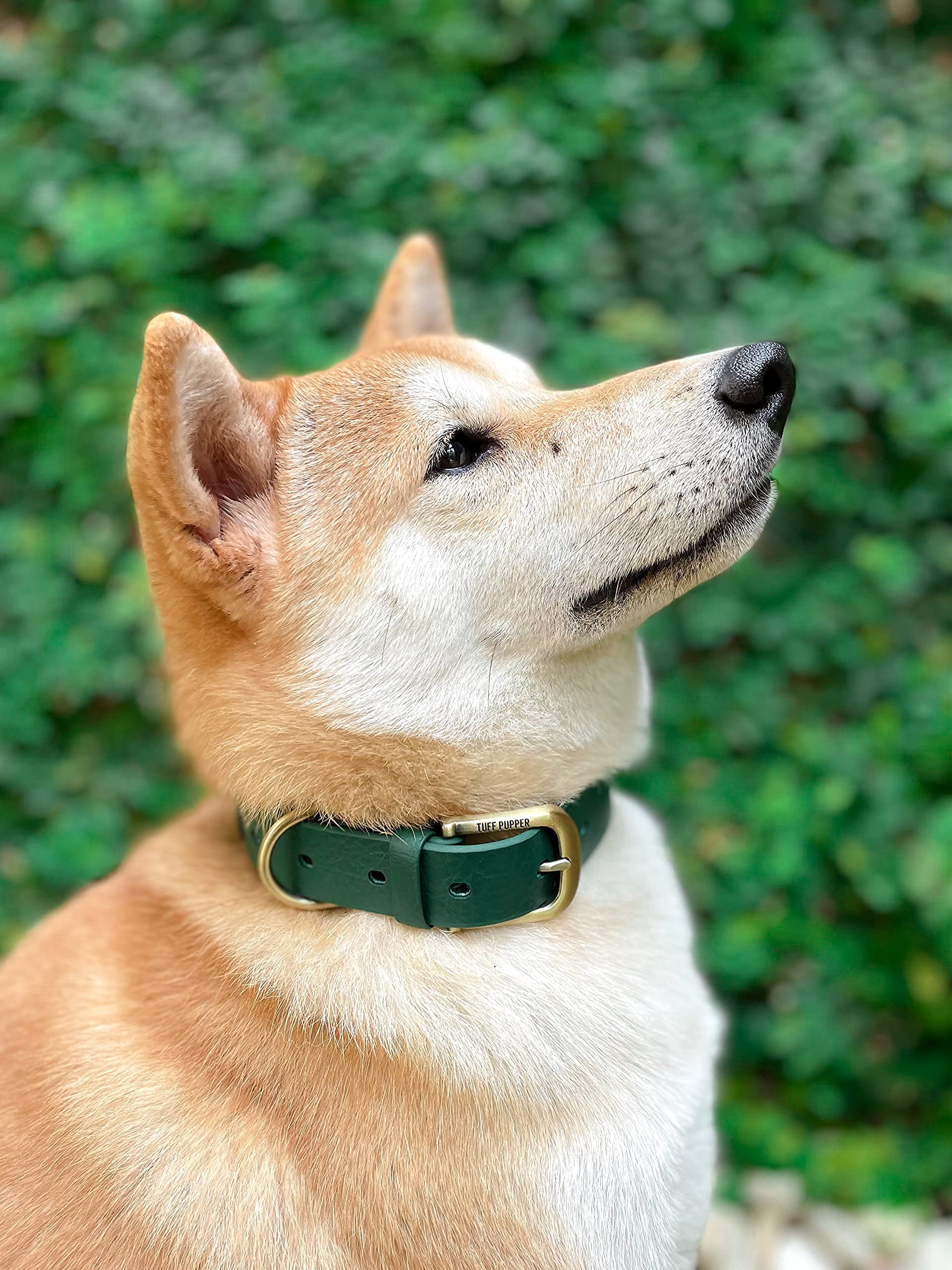 Tuff Pupper Classic Heavy Duty Dog Collar | 10X Stronger Than Leather | 100% Waterproof & Odor Proof Dog Collar | Tough Rust-Proof All Metal Hardware | Lifetime Replacement Guarantee
