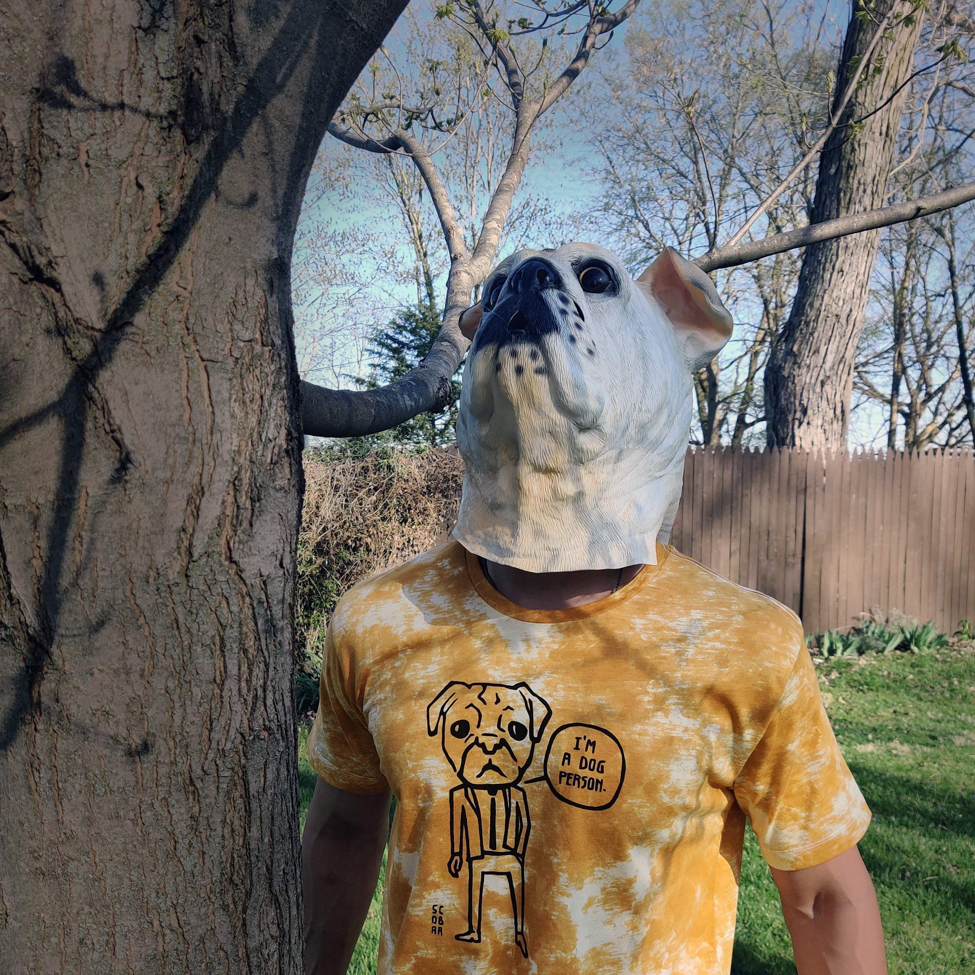 Cat/Dog Person T-Shirt (Cat Grey, 3X-Large)