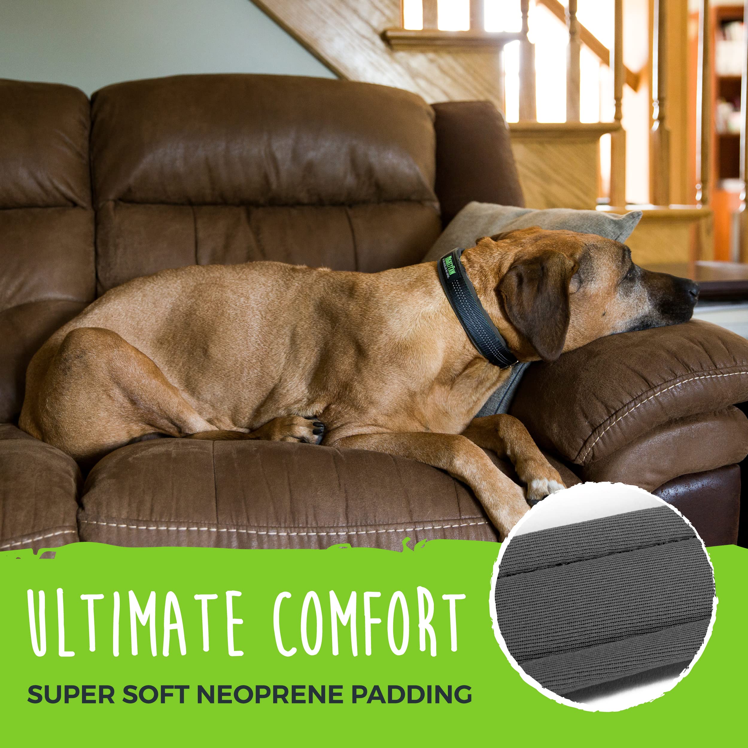 Mighty Paw Ultra Soft Dog Collar - Neoprene Padding, All-Metal Buckle - X-Large, Grey - SportCollar2.0