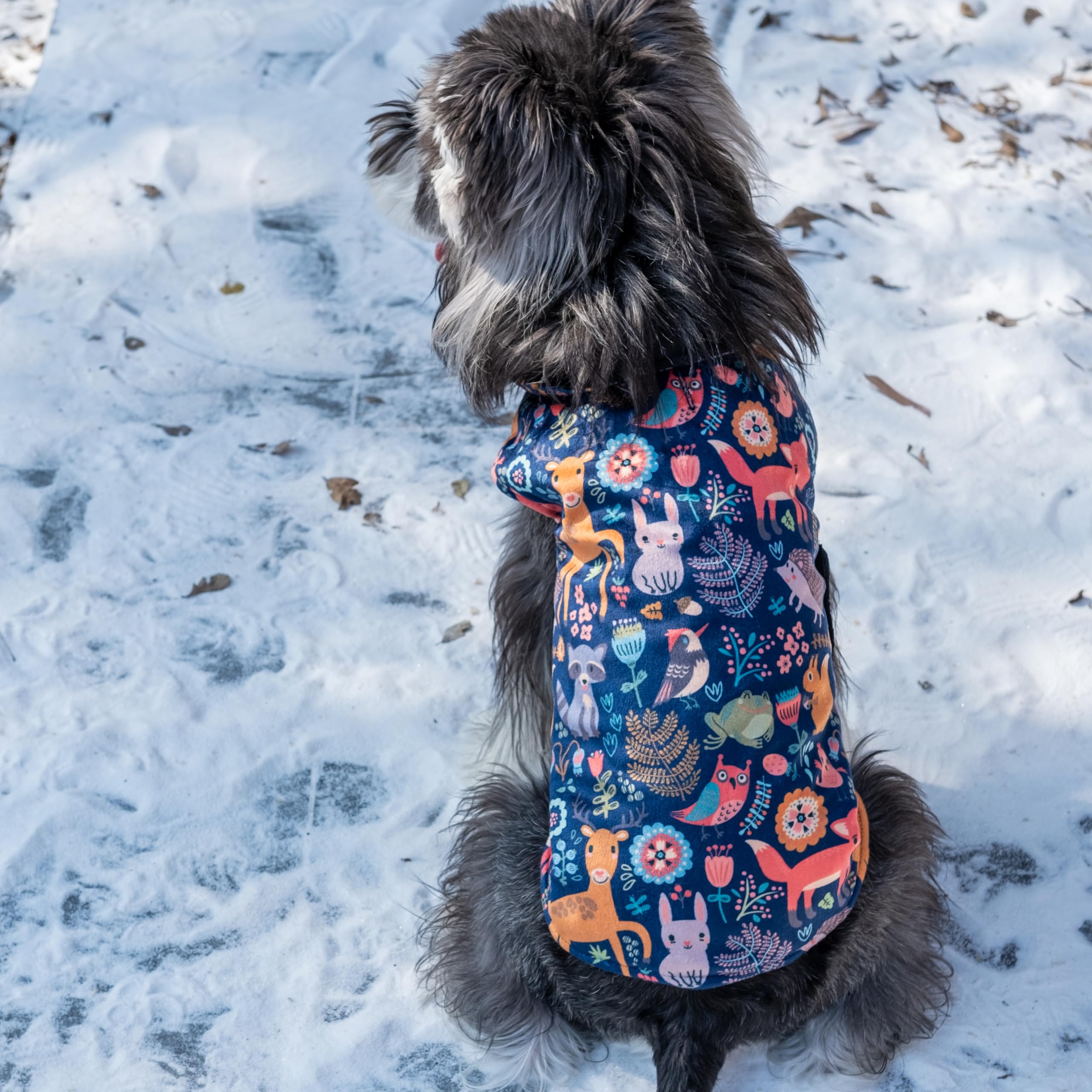 Cutebone Winter Dog Coat - Waterproof Windproof Reversible Jacket With Leash Hole - Thick Adjustable Soft Coats For Small To Lar