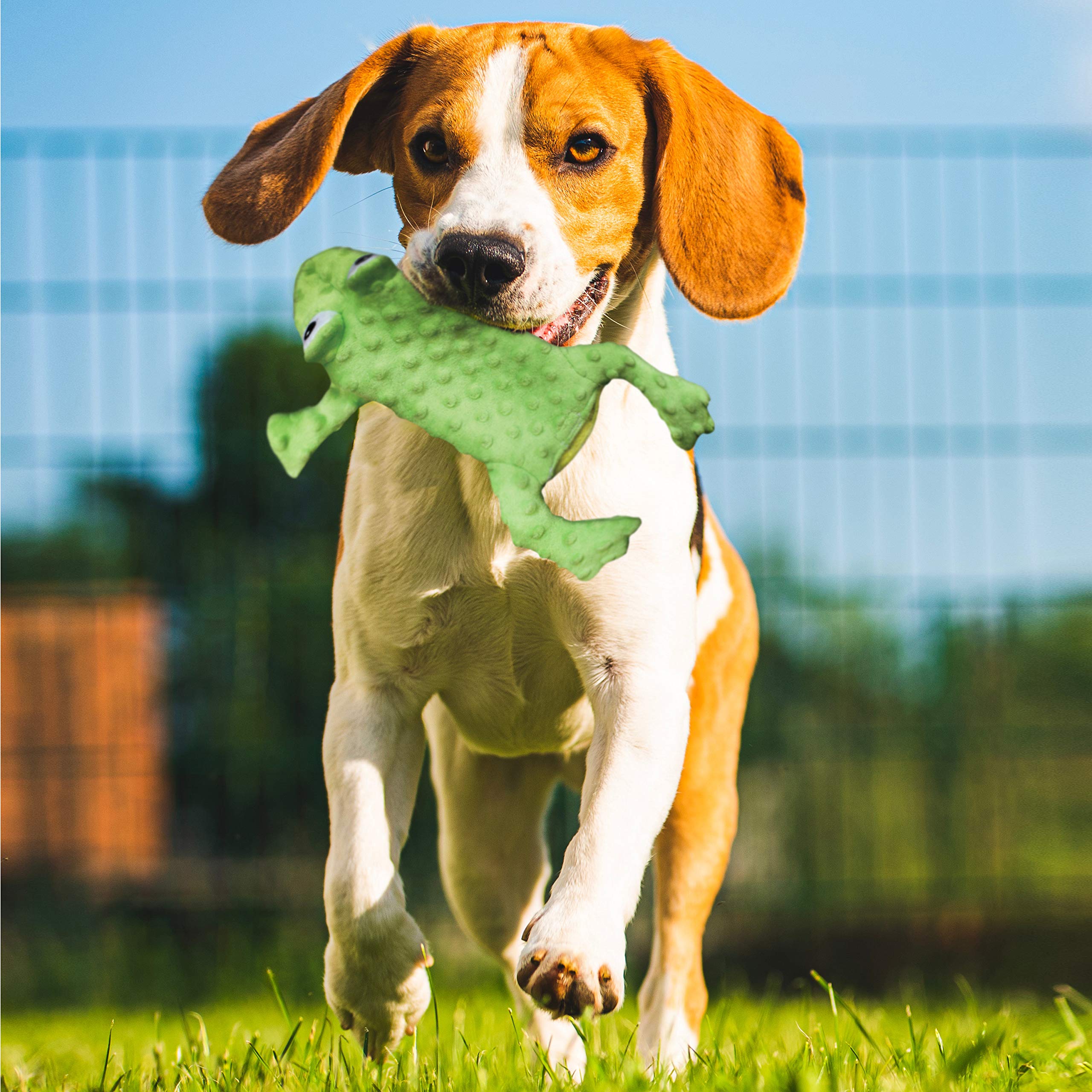 Ethical Pets 54093 Skinneeez Extreme Stuffing Free Dog Toy, 14'', Frog, Green,Small Breeds