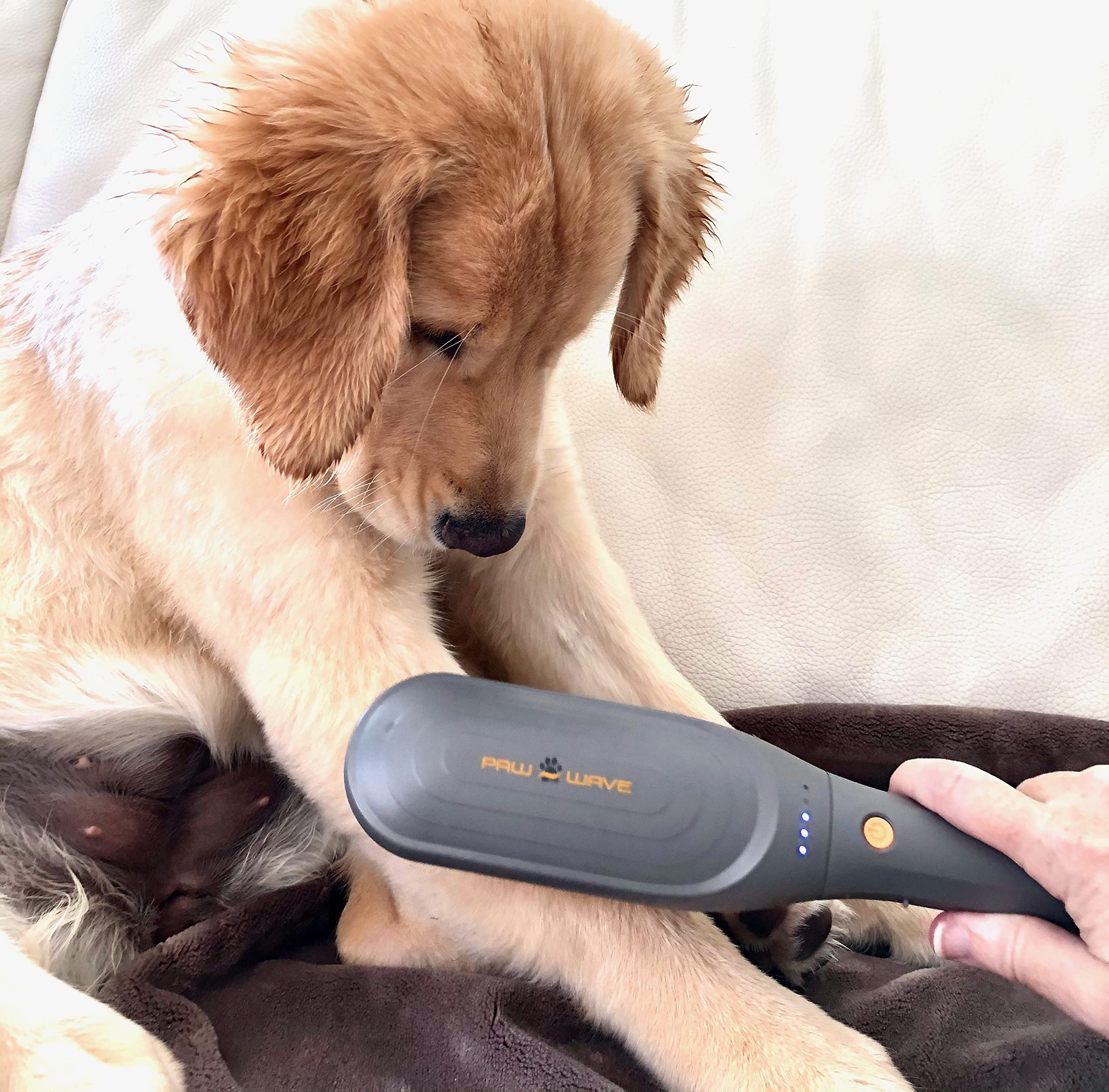 PAW WAVE Therapeutic Pet Massager for Dogs & Cats - Vibration Brush, Grey, Plastic, Relieves Tension & Improves Circulation