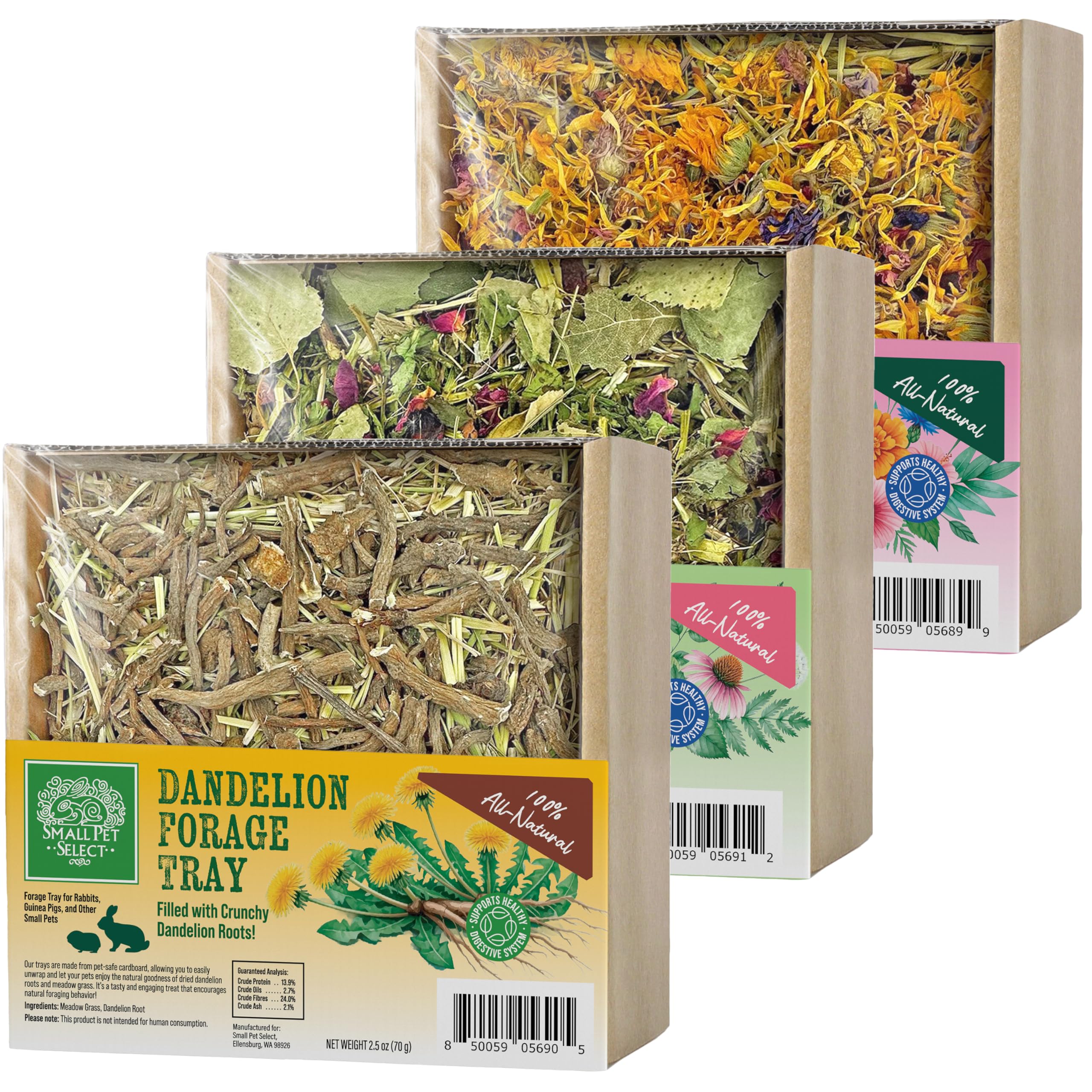 Small Pet Select Forage Tray Bundle, 3 Pack of Foraging Trays for Rabbit, Guinea Pig, Hamster or Bunny - Natural Treats, Dandeli