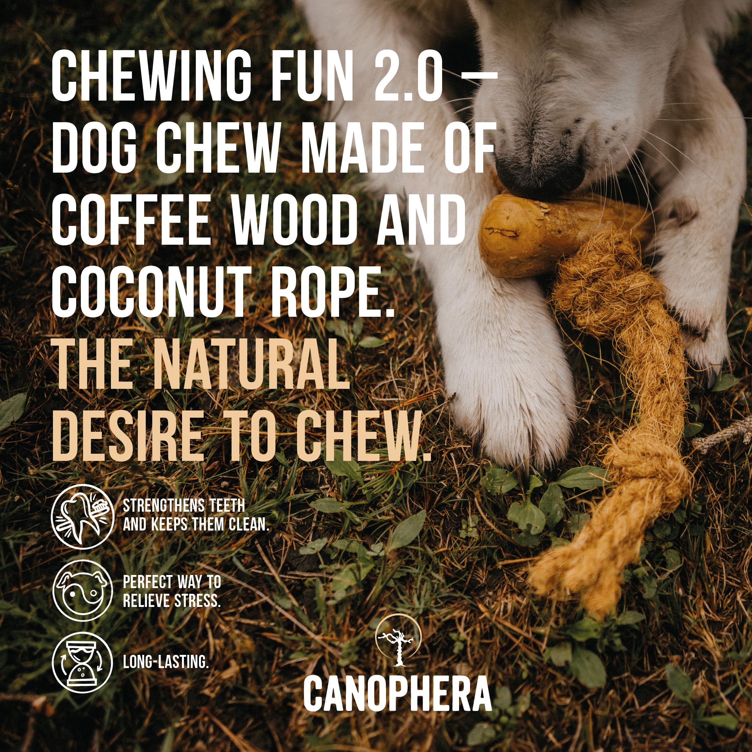 Canophera Dog Chew Made Of Coffee Wood And Coconut Rope (Medium)