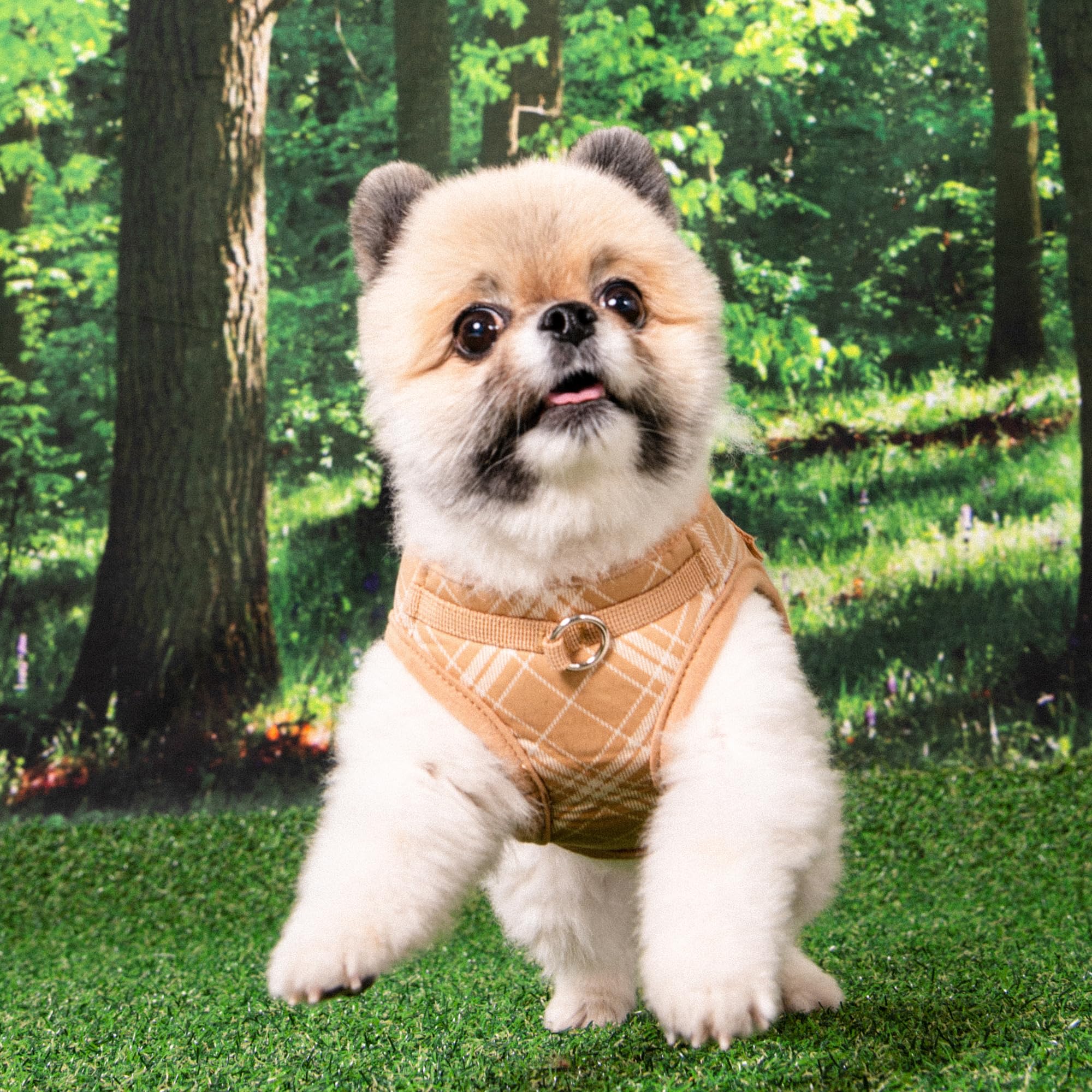 Puppia Corwin Dog Vest Harness B (Step-In) Fashionable Checkered Pattern Spring Summer Harness For Small And Medium Dogs, Beige,