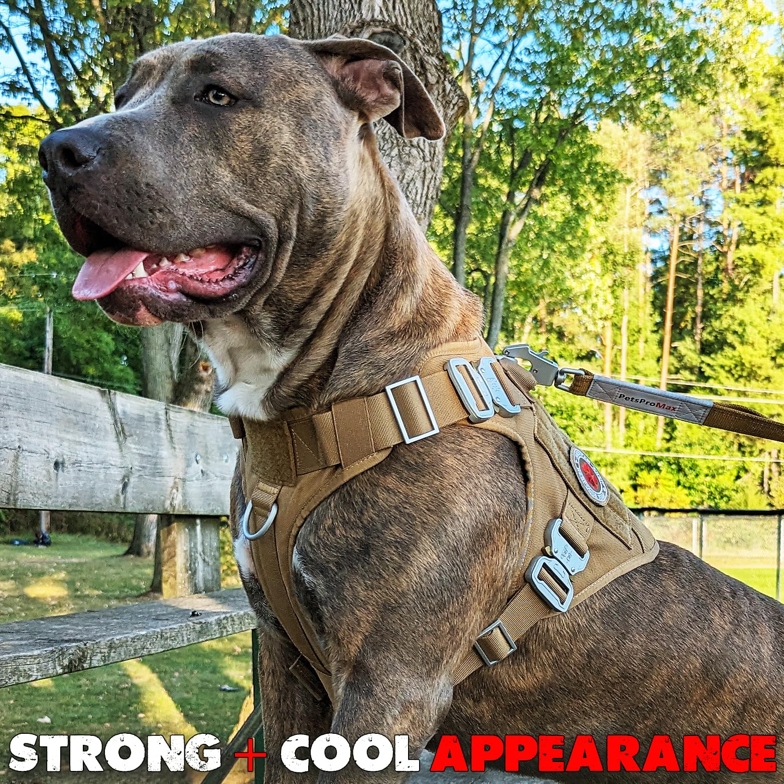 Pink Tactical Dog Harness With 4 Metal Buckles; Waterproof, Military Grade Dogs Vest; No-Pulls But Does Not Choke Neck; Heavy-Du