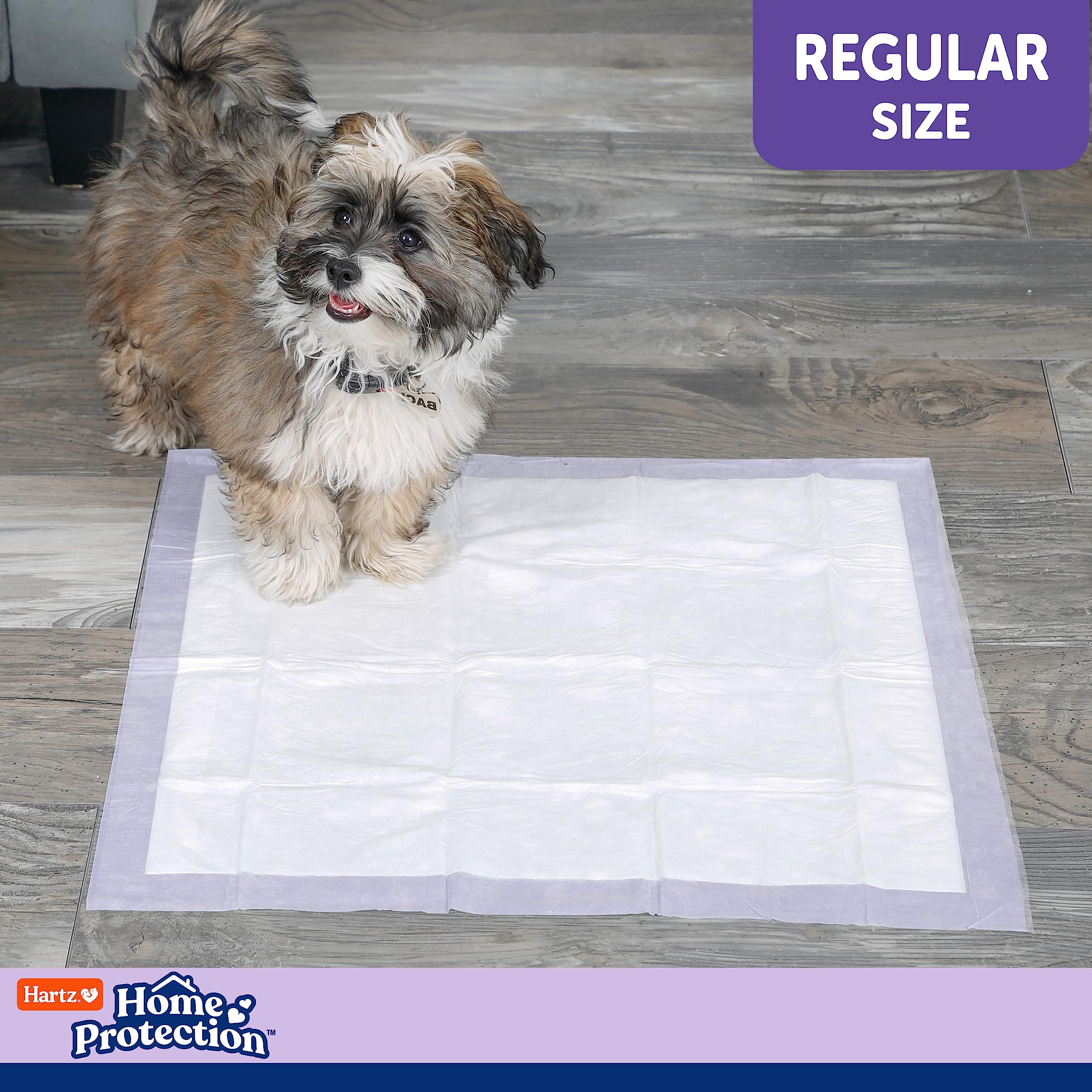 Hartz Home Protection Lavender Scented Dog Pads, 100 count, Super Absorbent & Won't Leak, Odor Eliminating