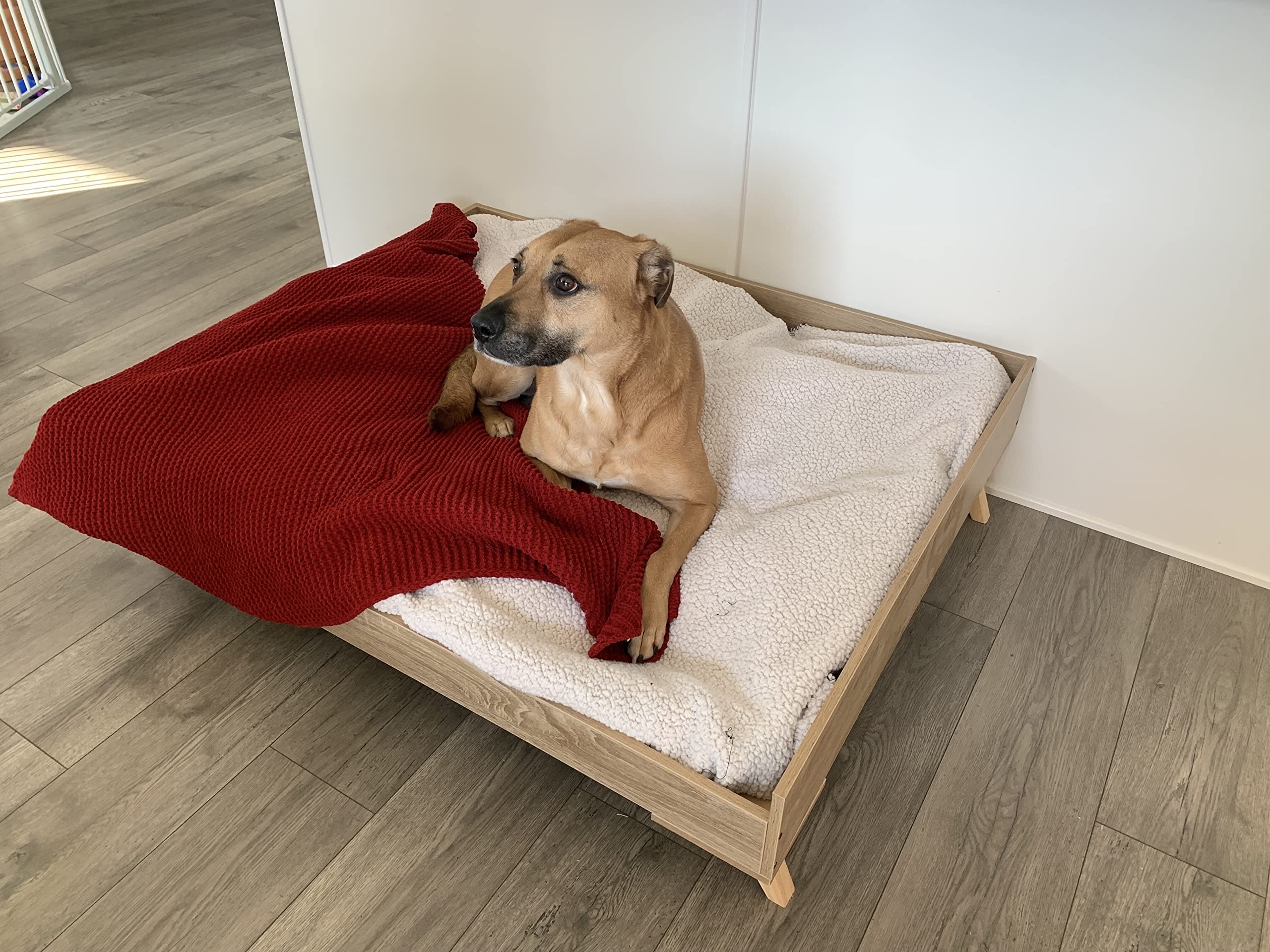 Midlee Raised Wooden Dog Bed Frame - Large Off-White Wood Design