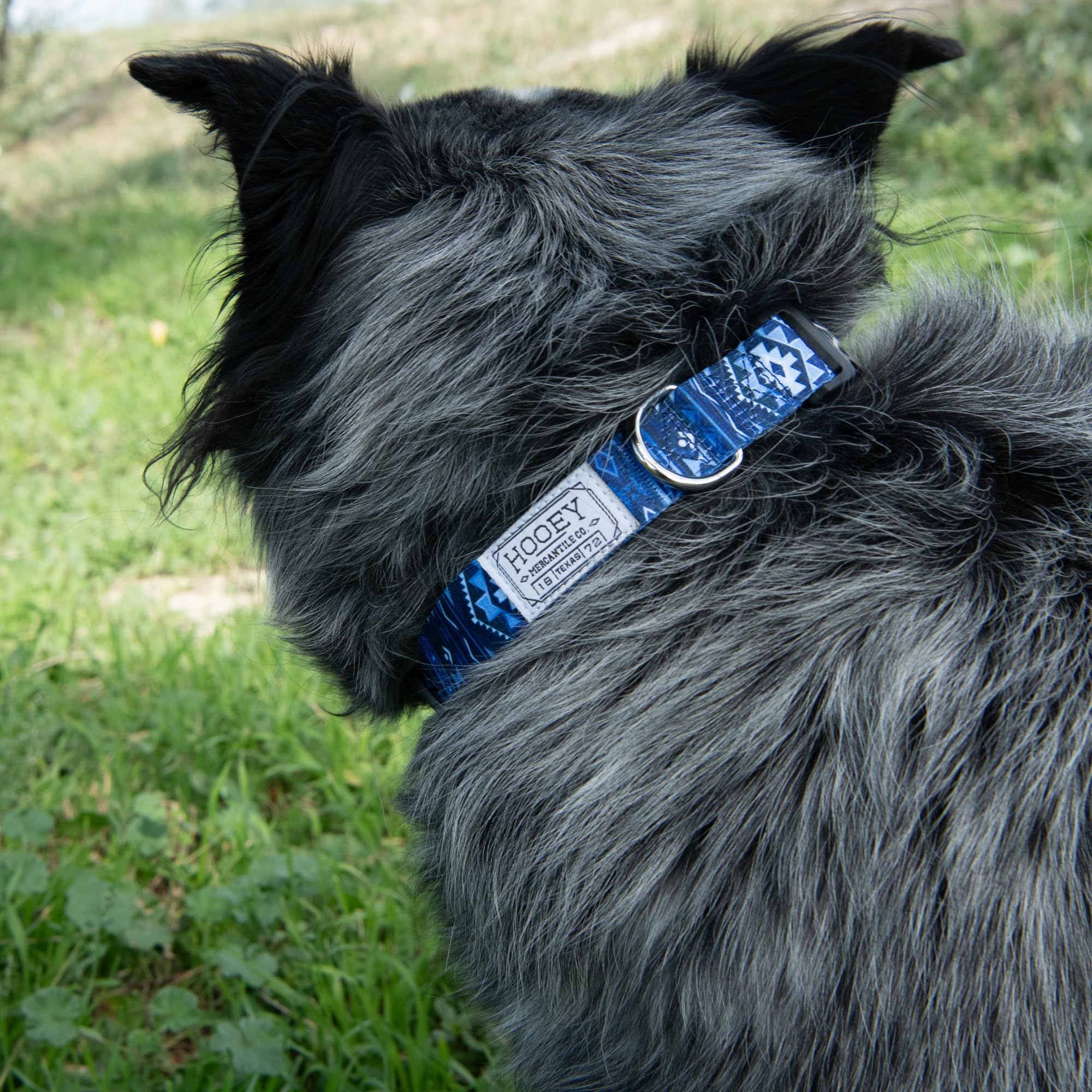Hooey Nomad Dog Collar, Durable Polyester Webbing Collar With Graphic-Inspired Prints, Ombre Aztec, Large