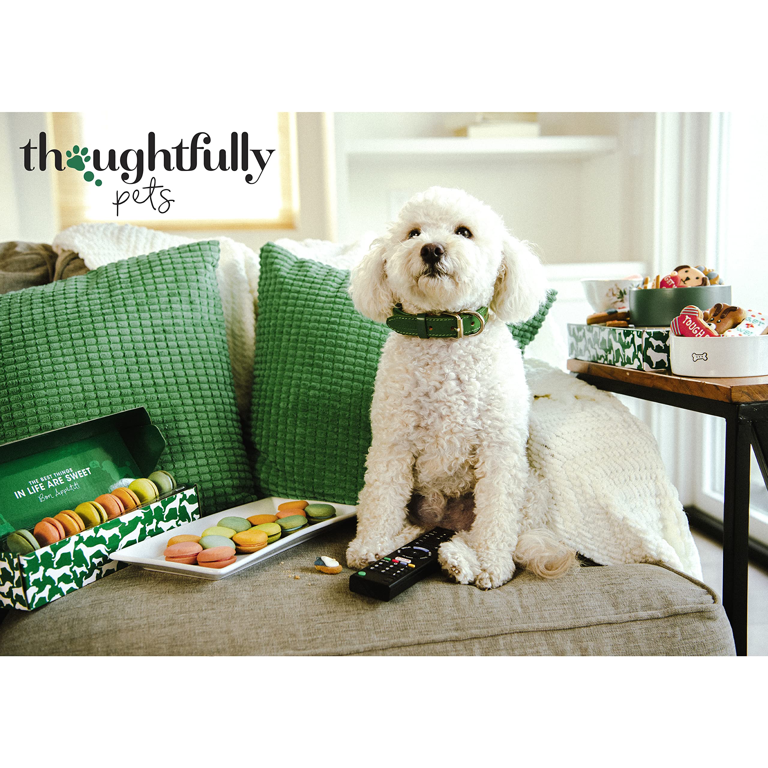Thoughtfully Pets, Dog Birthday Cookie Gift Set, Hand Decorated Crunchy Treats in Bone Shapes, Great for Birthdays, Set of 8