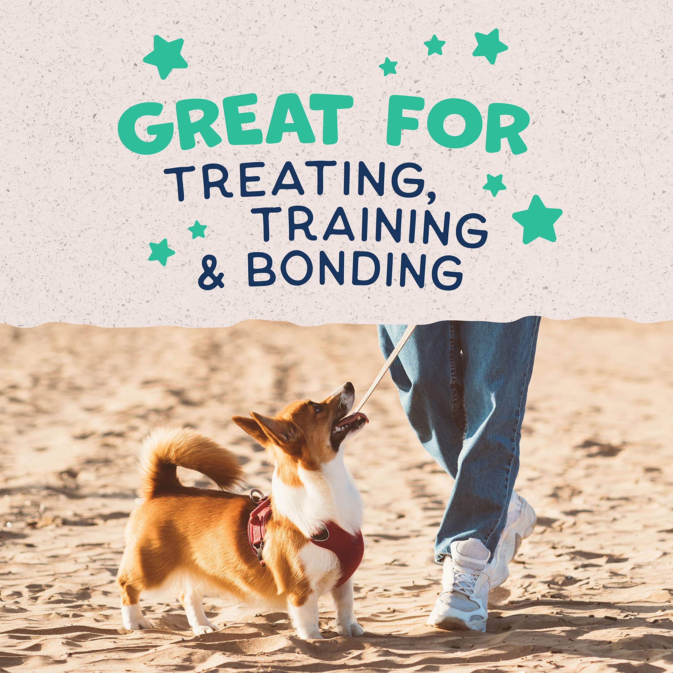 Natural Balance Limited Ingredient Rewards Crunchy Biscuits, Bite-Size Treats for Small-Breed Dogs, Made with Real Chicken, 8 Ou