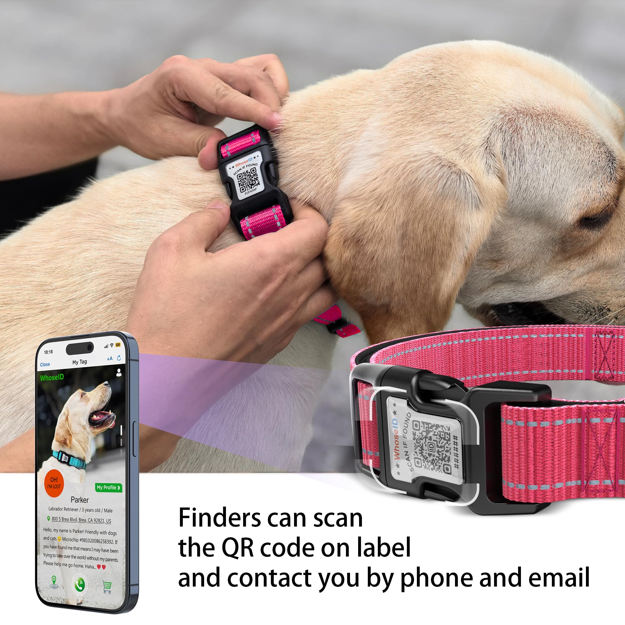 Dog Collar With Qr Code, Reflective Pet Collar, Soft Neoprene Padded & Safety Locking Buckle Adjustable Puppy Collar (Xs,Rose)