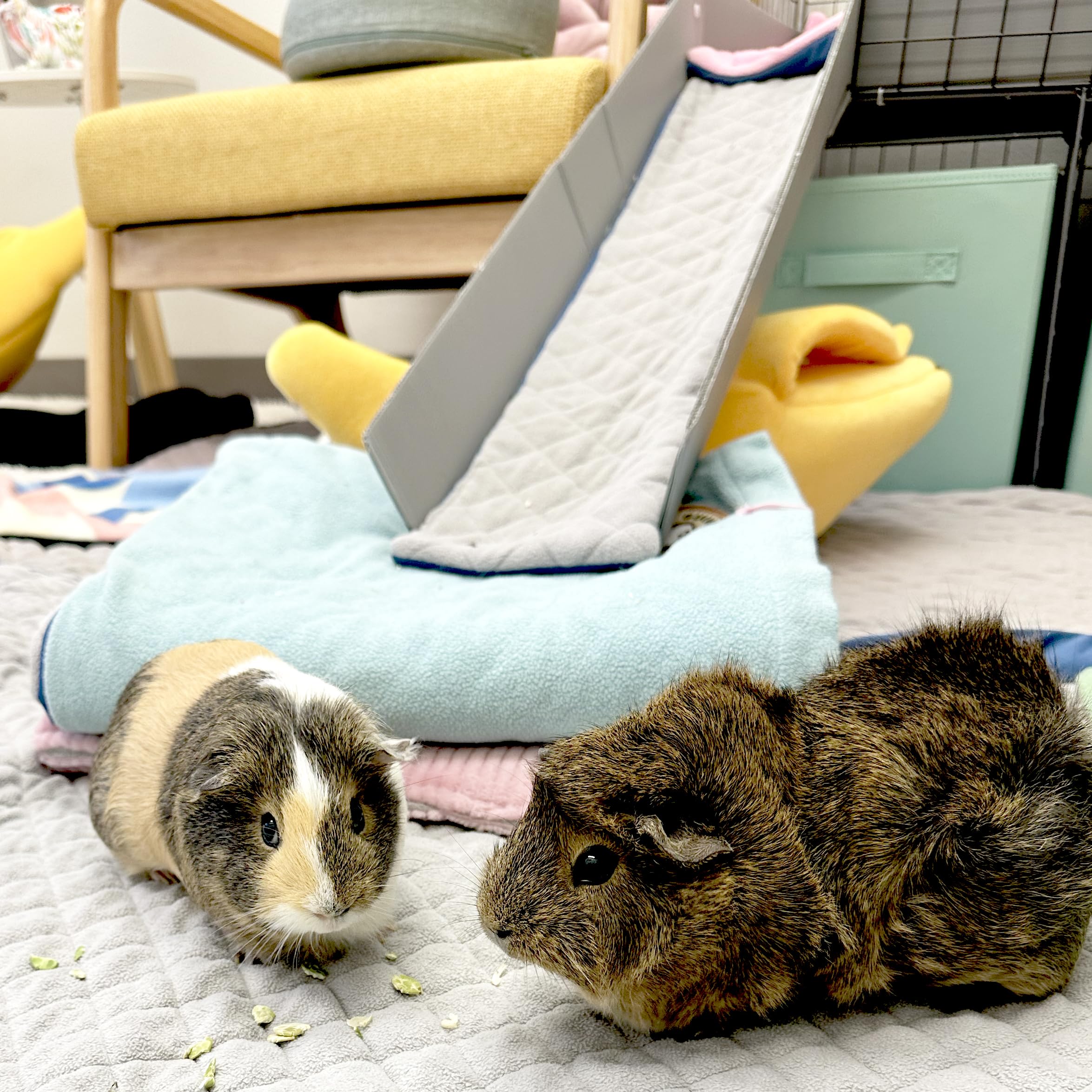 Guineadad Original Reusable Ramp Liner - Gray Fleece Bedding With Extra Absorbent Bamboo Core & Waterproof Bottom - Washable Lin