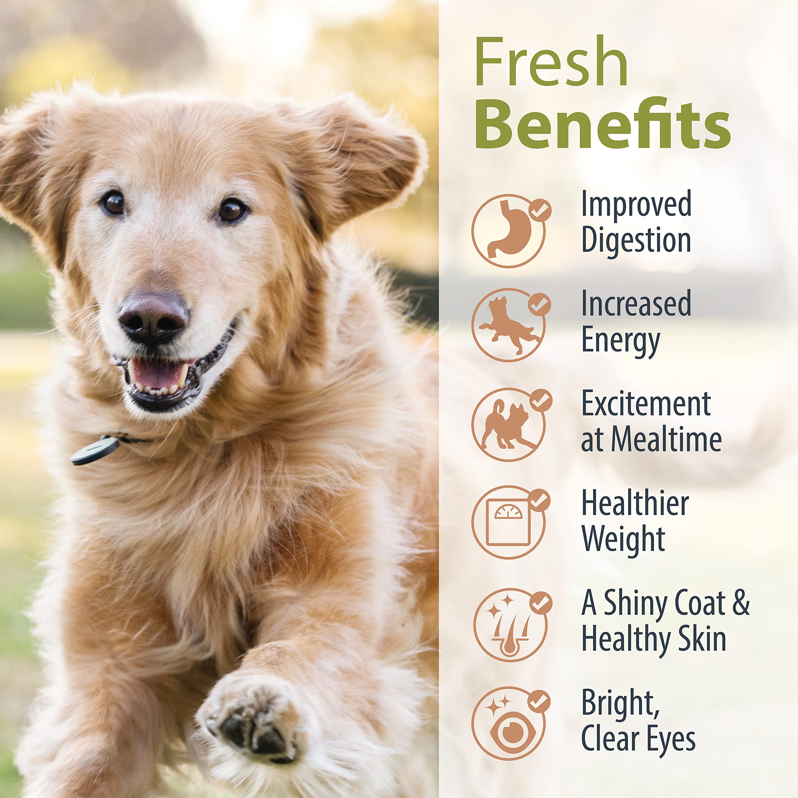 JustFoodForDogs Pantry Fresh Wet Dog Food, Complete Meal or Dog Food Topper, Beef & Potato Human Grade Dog Food Recipe - 12.5 oz