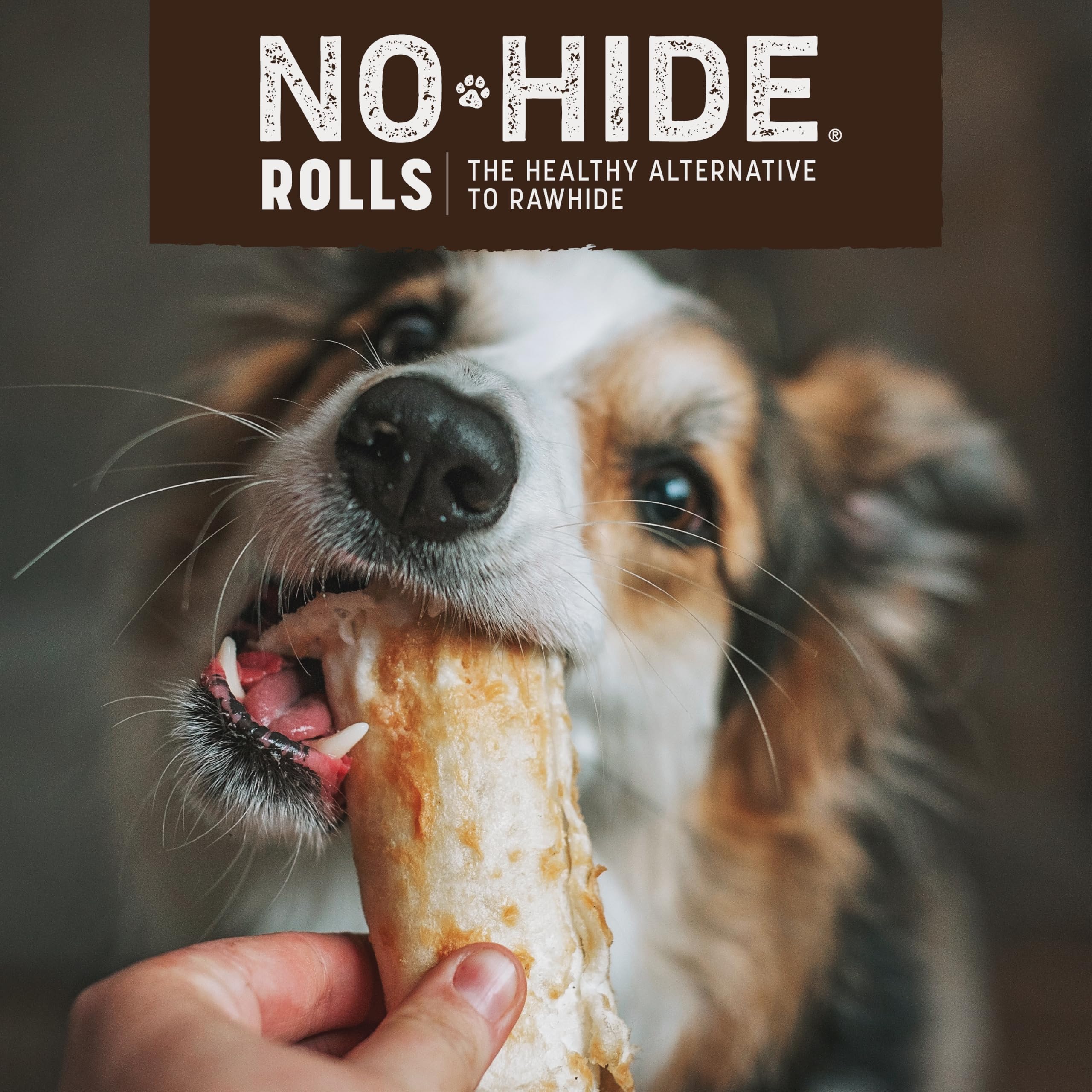 Earth Animal No Hide Small Long Lasting Dog Chew Rolls, Peanut Butter, 2 Count Pack of 1