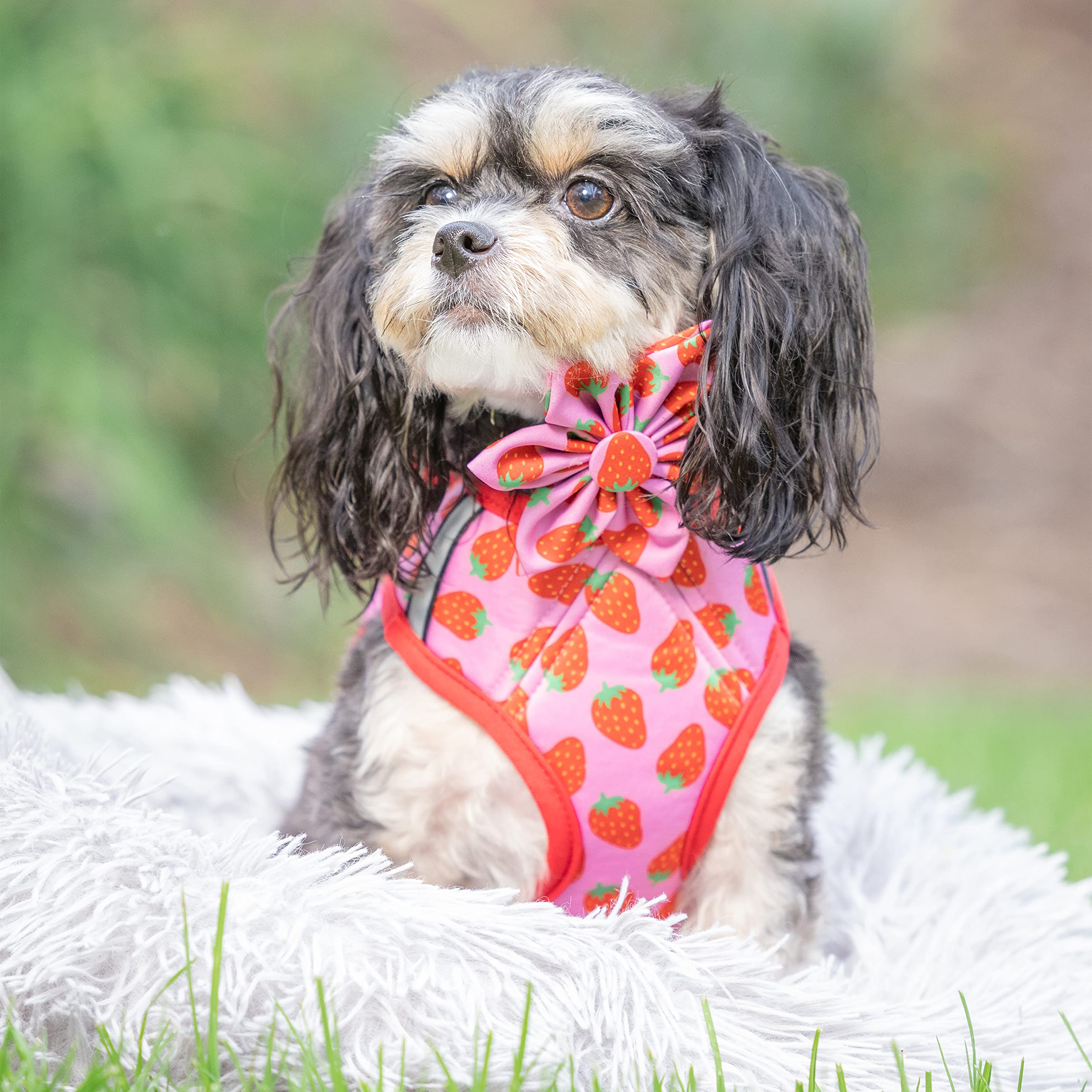 Huxley & Kent Hudson Walking & Training Harness - Strawberry (Extra-Small, 6-10Lbs) - Easy Control Step-In Mesh Vest Harness Wit